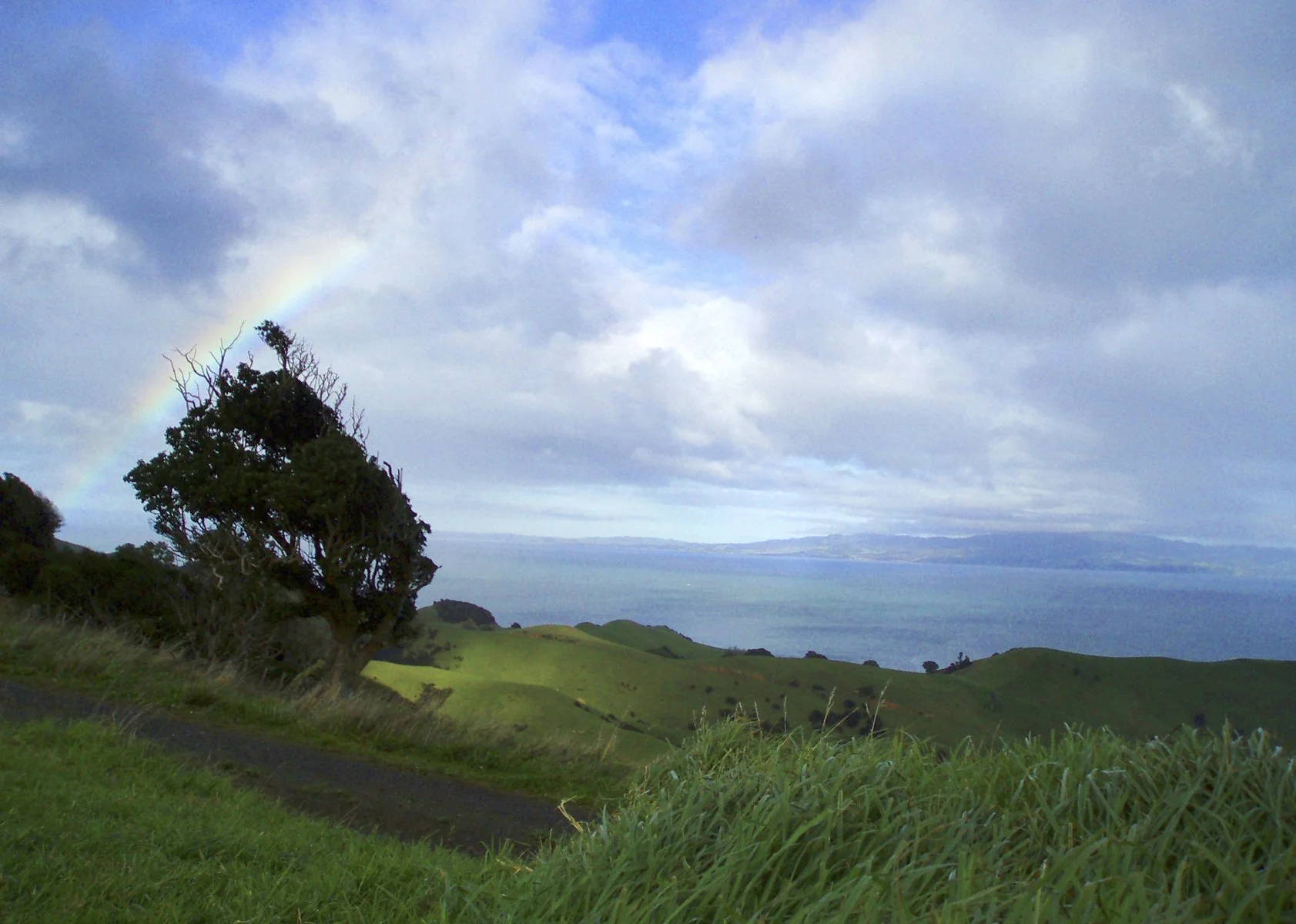 copyright molly wagoner_nz.jpg