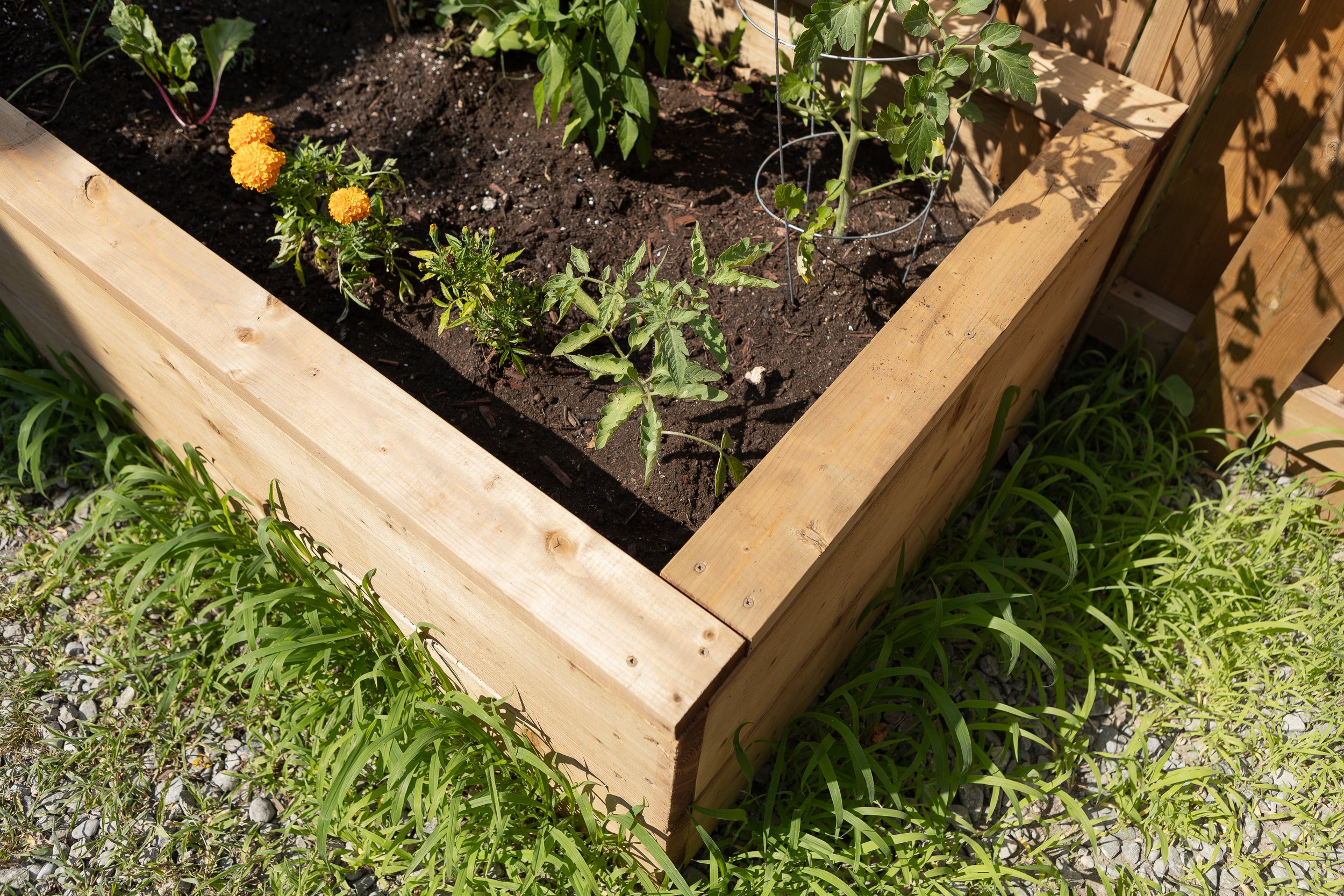 RAISED-GARDEN-BED_IMG_3249.jpg