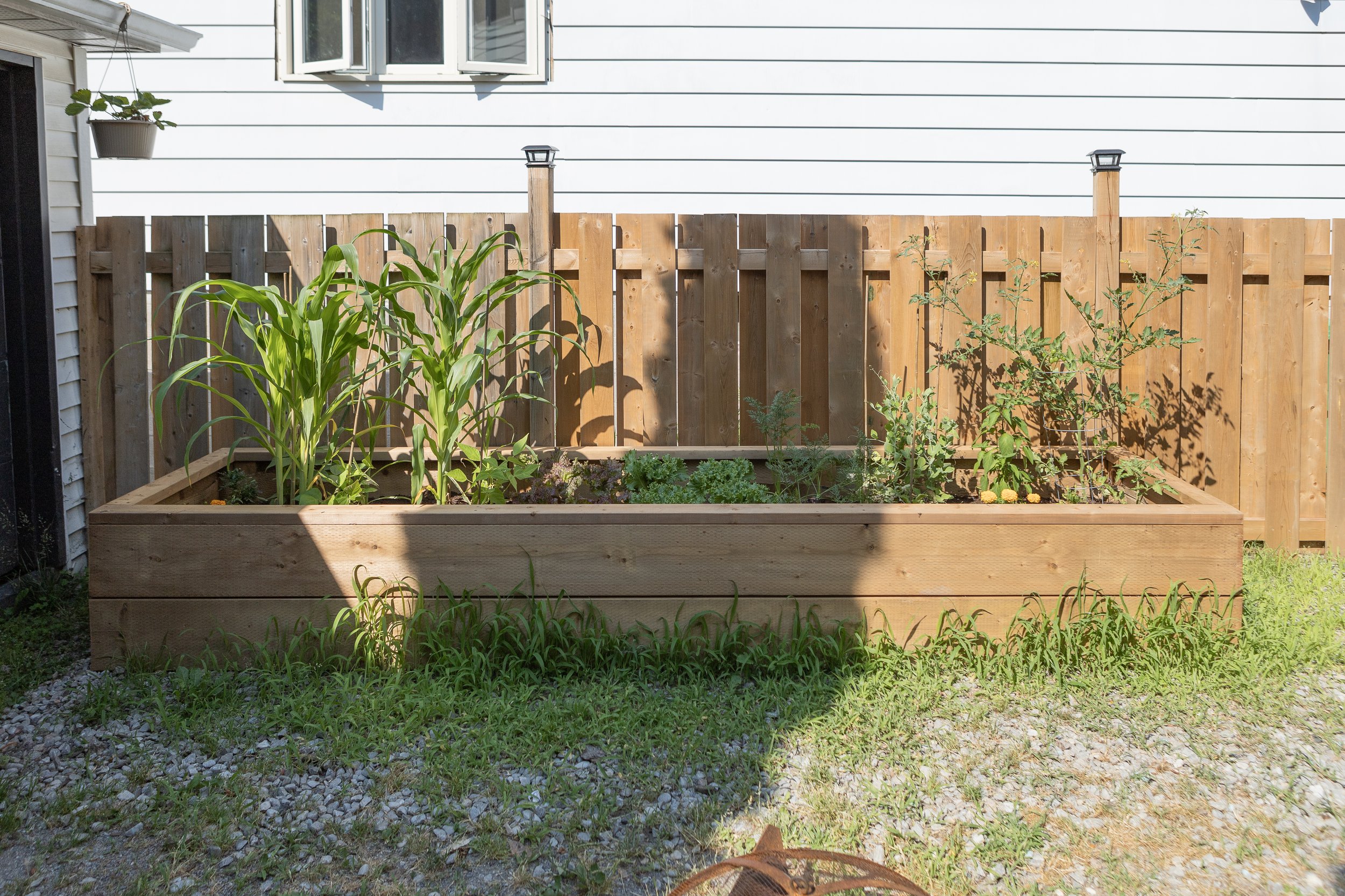 RAISED-GARDEN-BED_IMG_3214.jpg