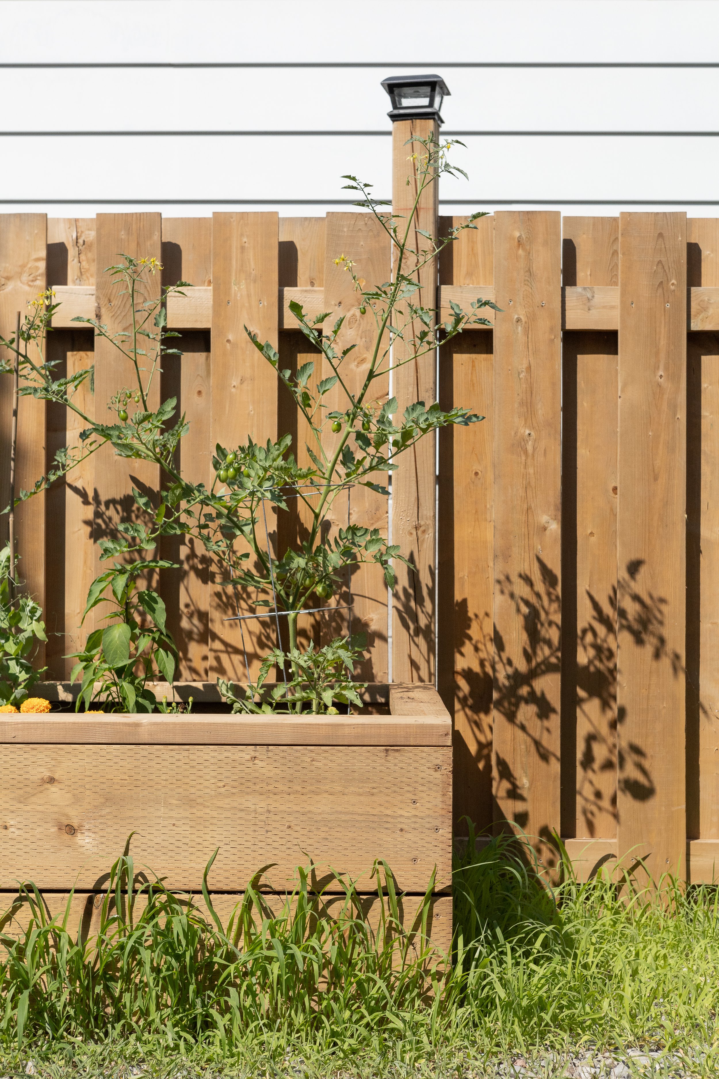 RAISED-GARDEN-BED_IMG_3245.jpg