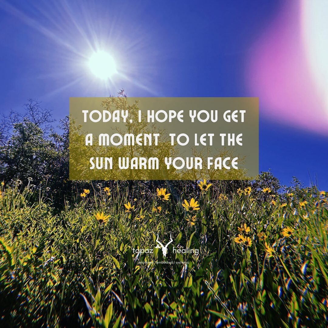 Like the balsamroot, I hope you get to turn and face the sun and have a moment to just &lsquo;be.&rsquo;

 Happy and joyful Summer Solstice to you. ☀️ 

#summer #solstice #nature #ecotherapy #seasons #relationship #interconnected #animism