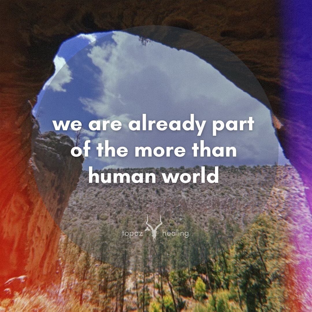 As we are encouraged to connect with the natural world as part of our healing, I've noticed how quickly we can overlook the ways that we are more than human. We are not merely our consciousness, our language, or our social constructs. Our very essenc