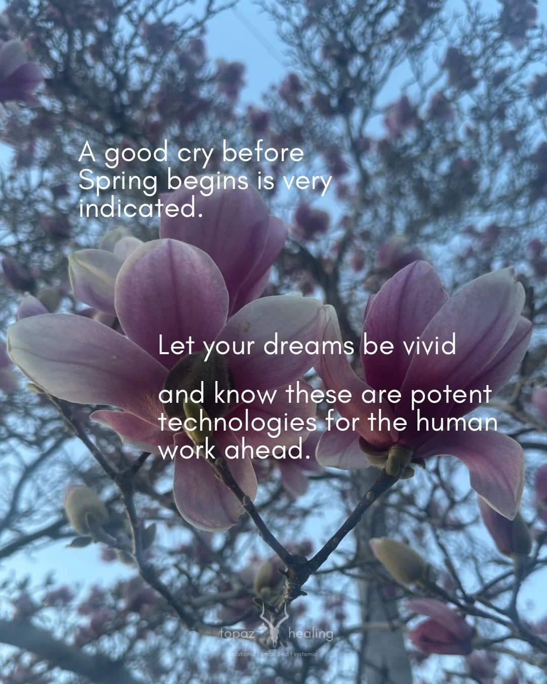 Pisces New Moon Mood Board
🌊 🌺 🧚🏻💕

#pisces #newmoon #seasonal #cyclical