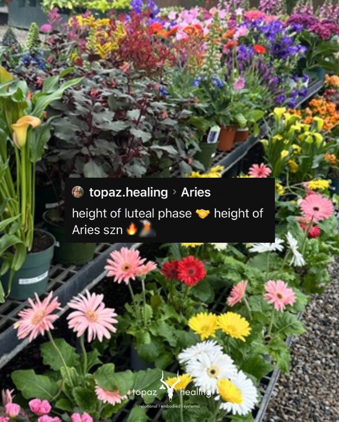 new moon (and literally everything we can fathom) has entered 🔥 Aries ~ a mood board. 

take care of each other. speak hard truths. build your capacity to witness shame. make art. donate time and resources to your community. go gently, go fiercely. 