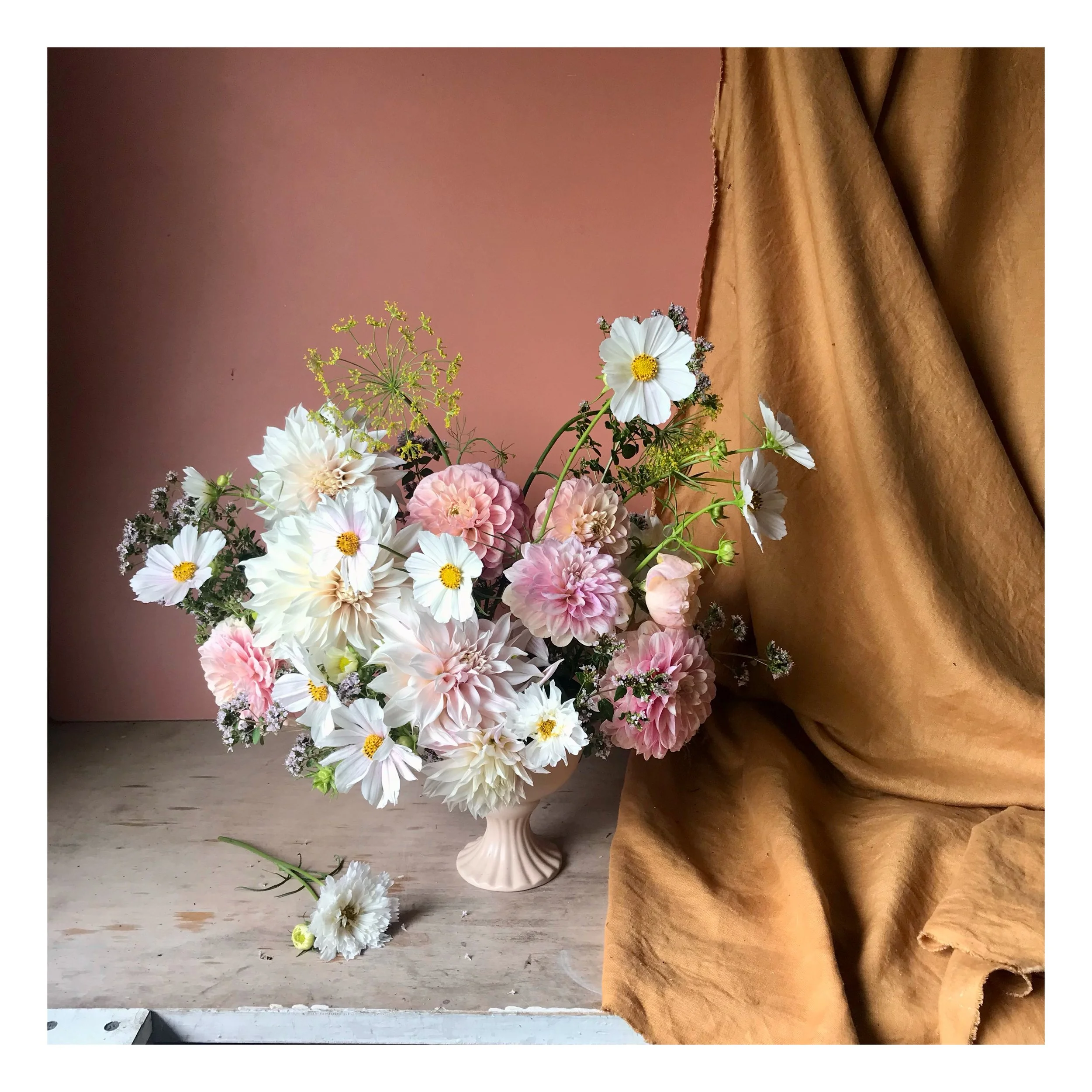 Whitagram-Image copy.JPG