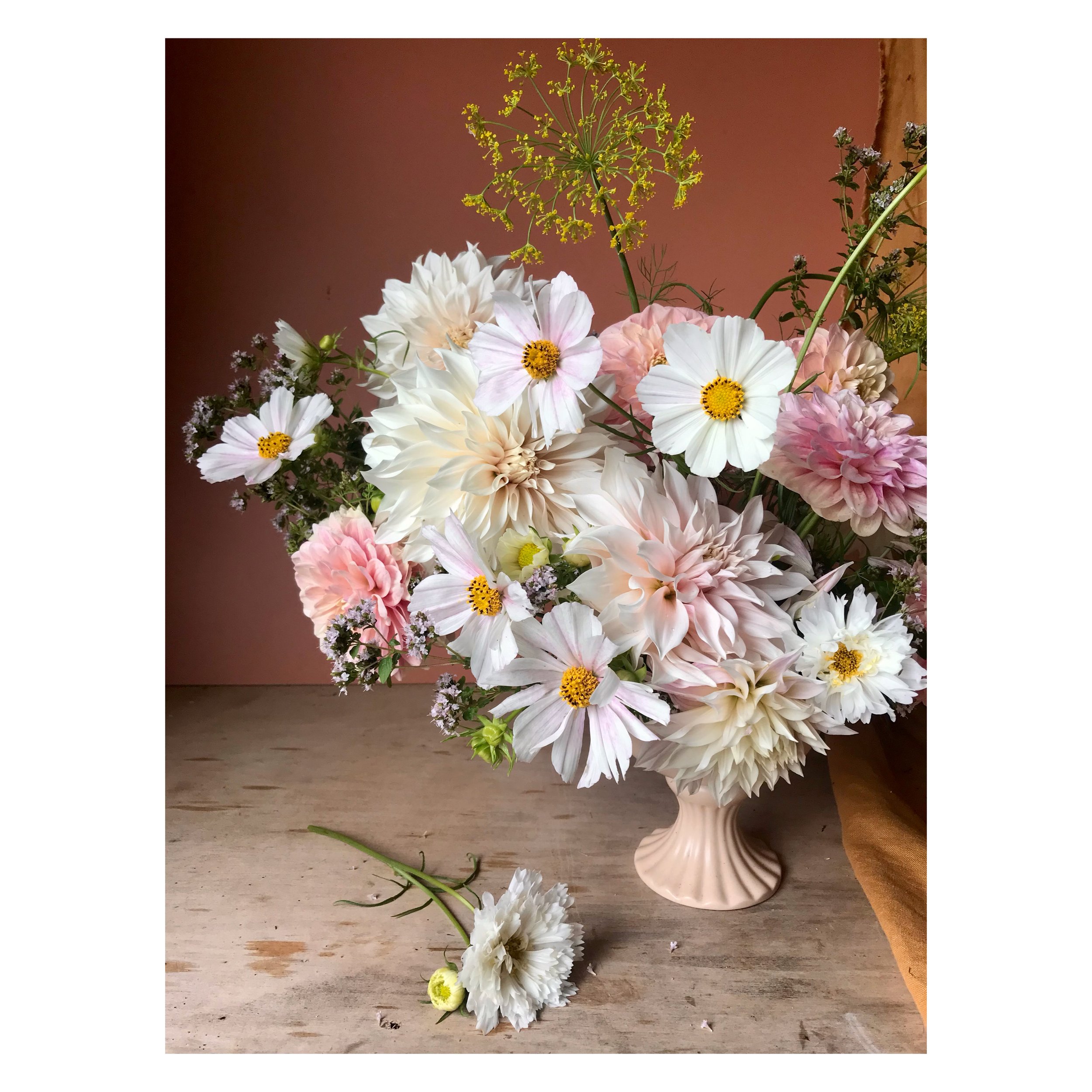 Whitagram-Image (4) copy.JPG