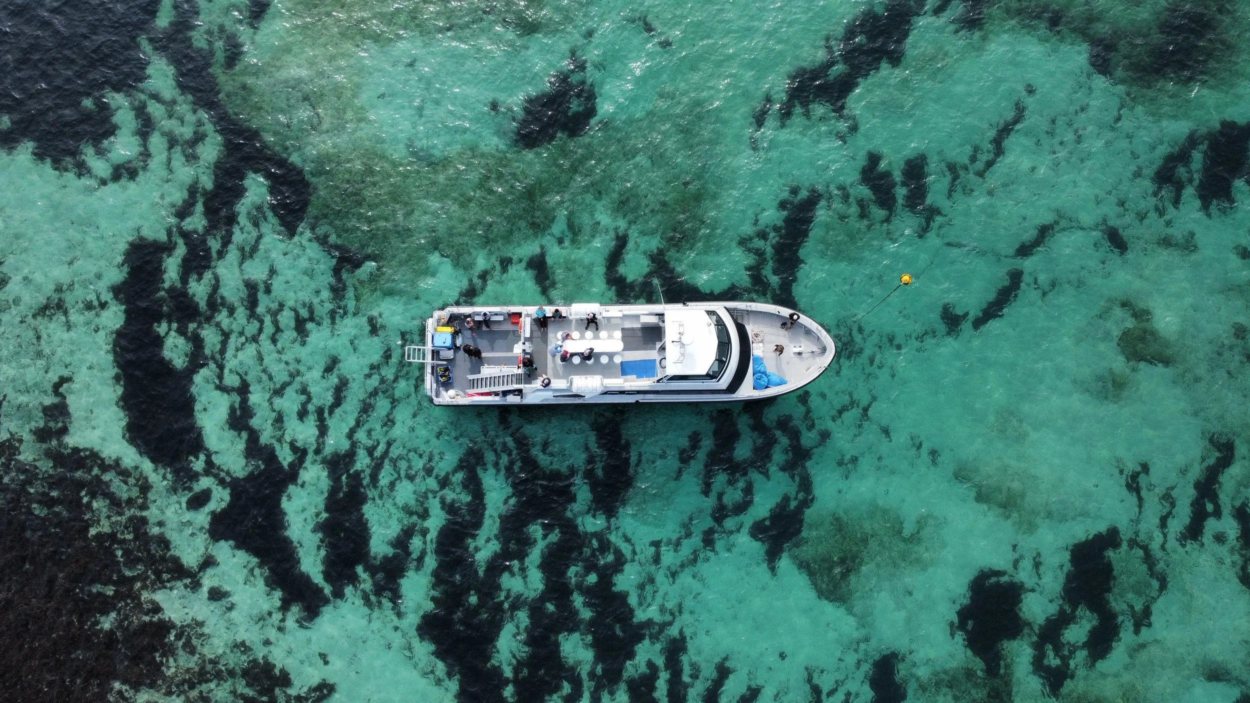 Aerial view of a tour vessel moored above seagrass and reef habitat in the Jurien Bay Marine Park.