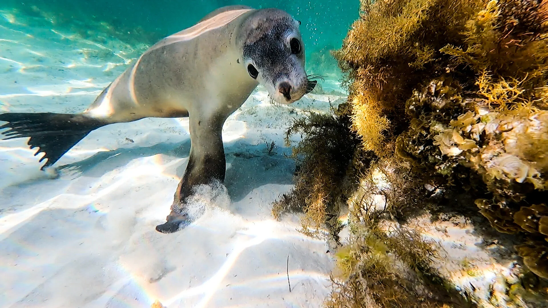 General 2 — Jurien Bay Oceanic Experience
