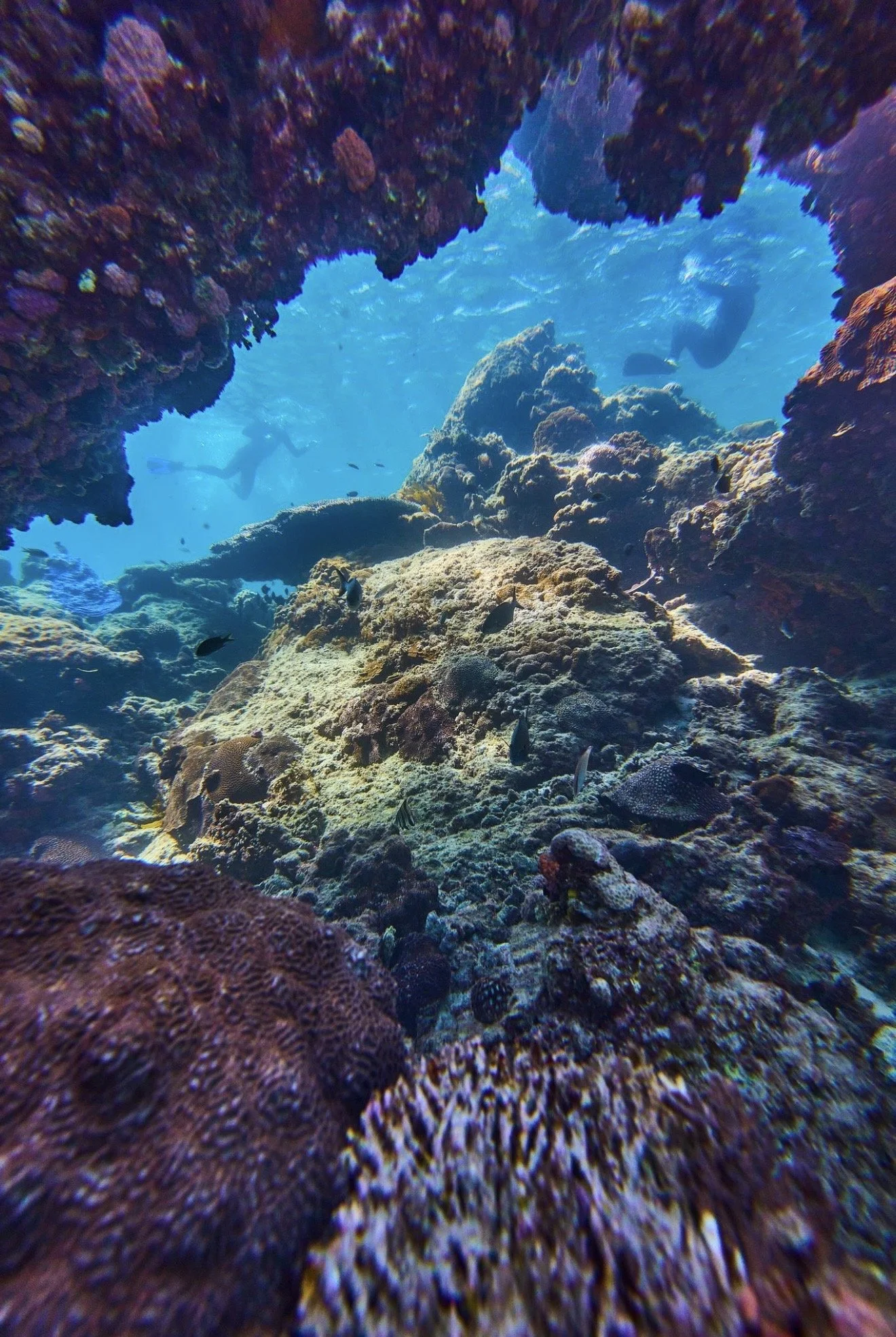 Snorkellers exploring a limestone reef in the Jurien Bay Marine Park.