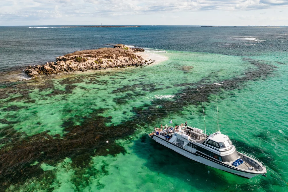 Jurien Bay Oceanic Experience