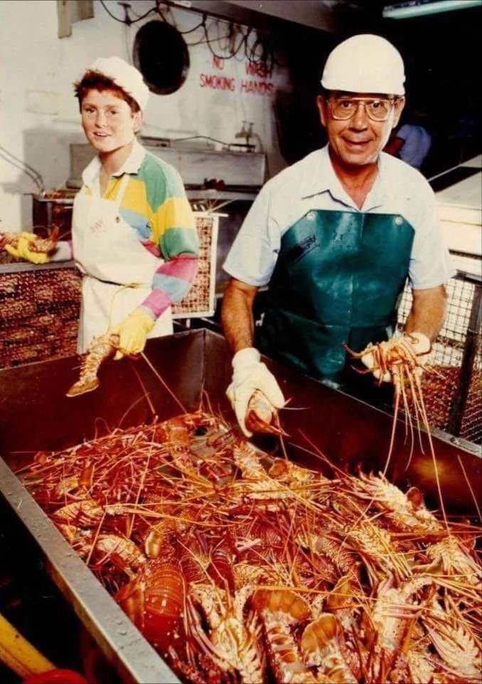 Commercial crayfisher processing Western Rock Lobsters, continuing Jurien Bay's long fishing heritage.