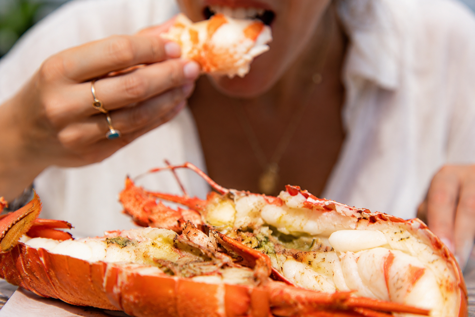 Freshly cooked Western Rock Lobster being enjoyed after a day on the water in Jurien Bay.