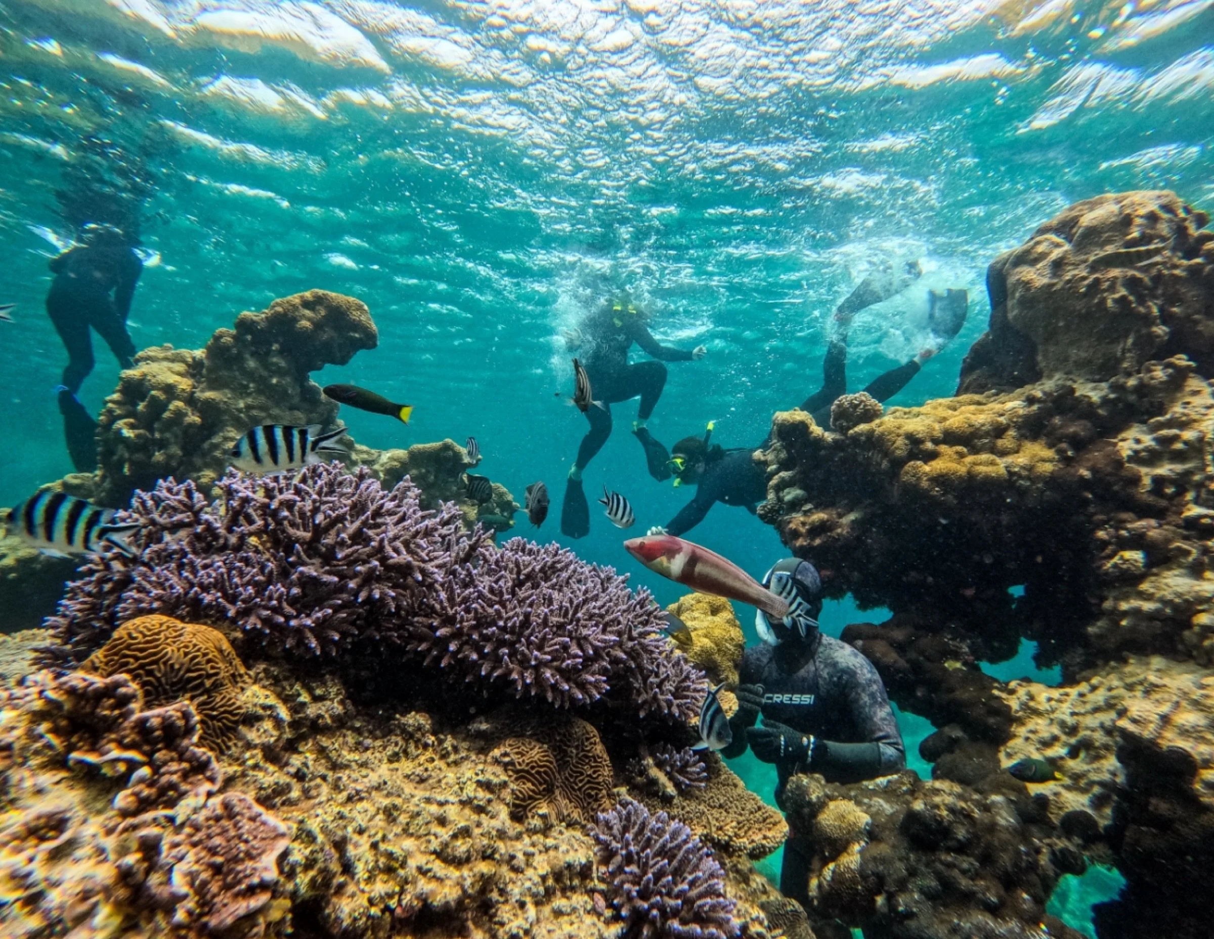 Snorkellers exploring coral reef habitat in the Jurien Bay Marine Park