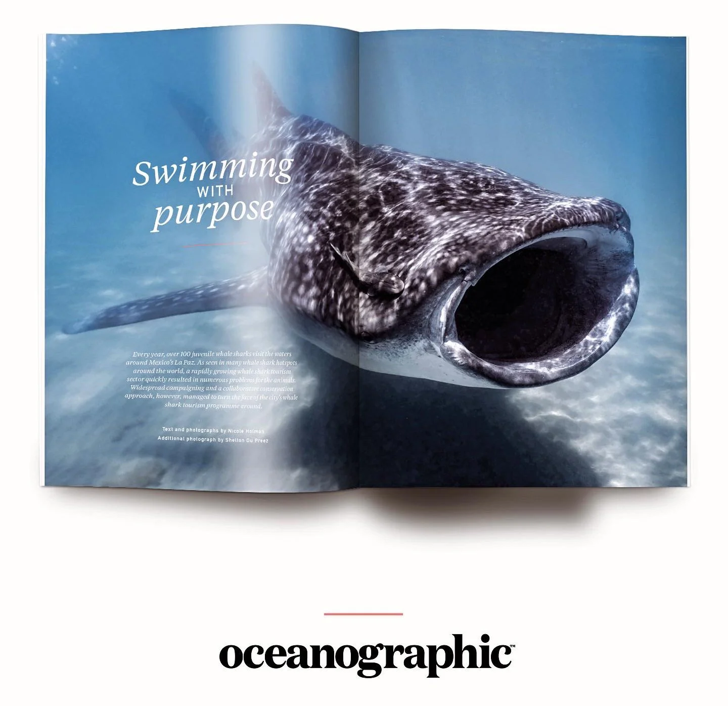 BF6D66AA-DC05-49BE-B930-2B32EF937E08 2.JPG