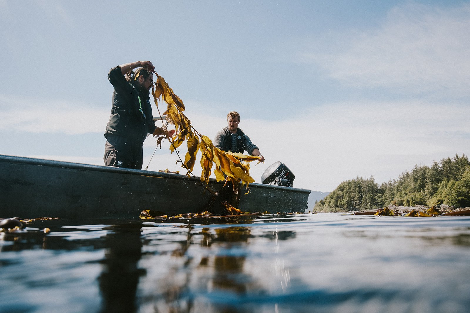 naas_foods_tofino_dried_kelp_jordan_stevie_indigenous_business-73_websize.jpg