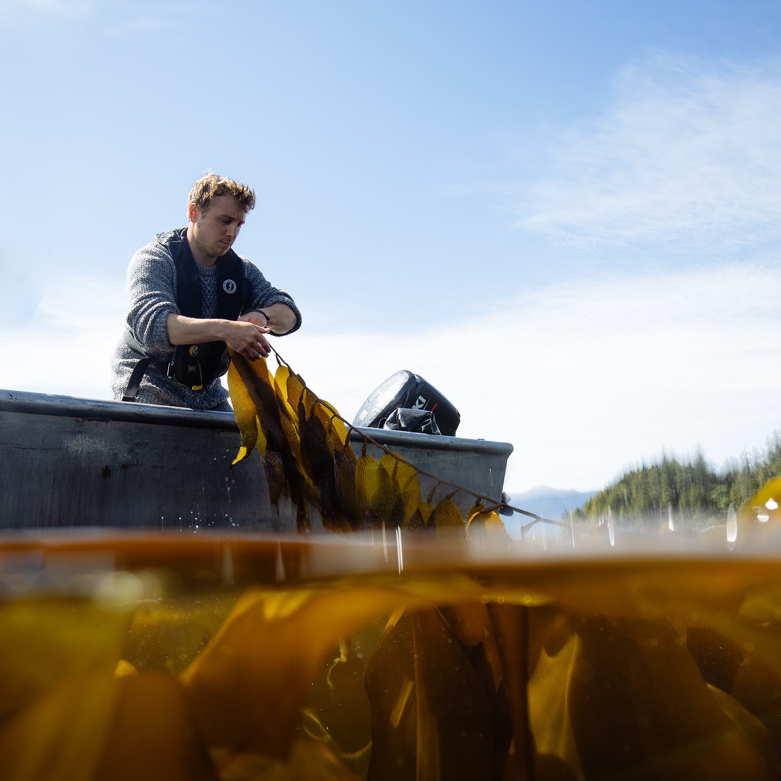 naas_foods_tofino_dried_kelp_jordan_stevie_indigenous_business-42_websize.jpg