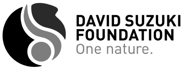 vimff-david-suzuki-foundation-logo-700x360-1-600x309 copy.png