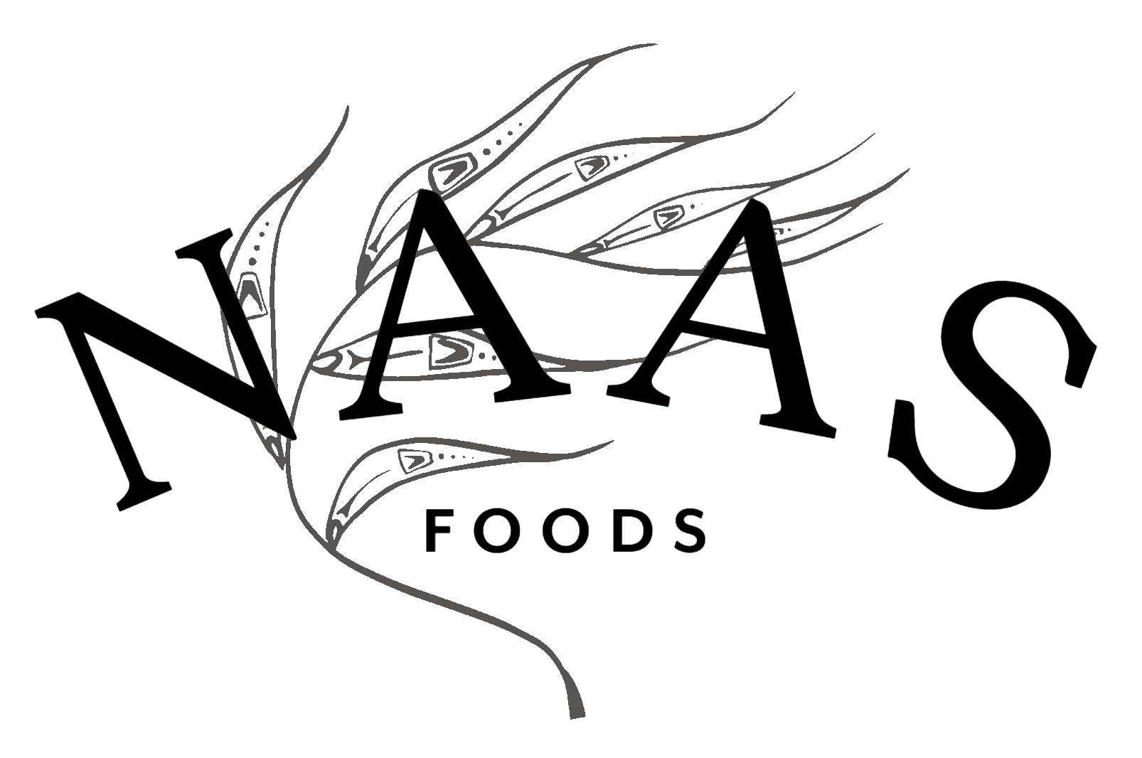 Screen Shot 2021-07-17 at 10.27.23 AM.png