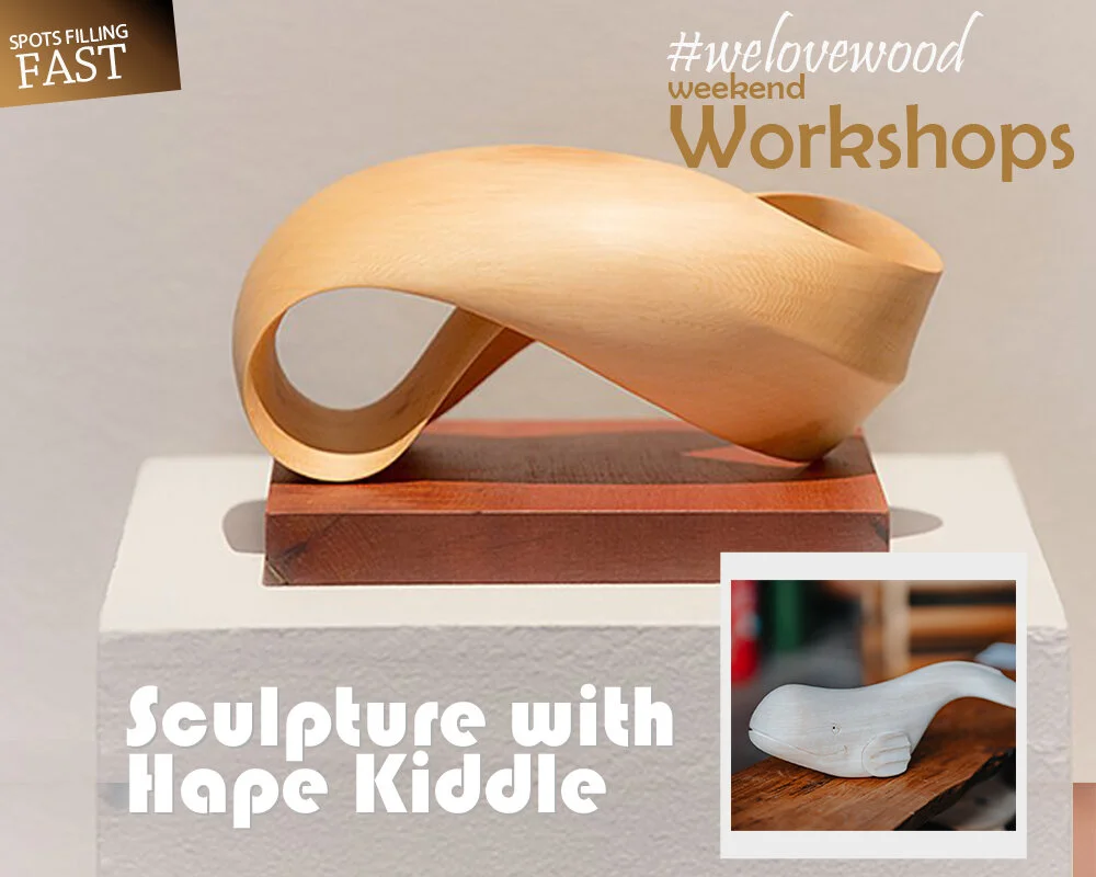 Workshop with Hape Kiddle