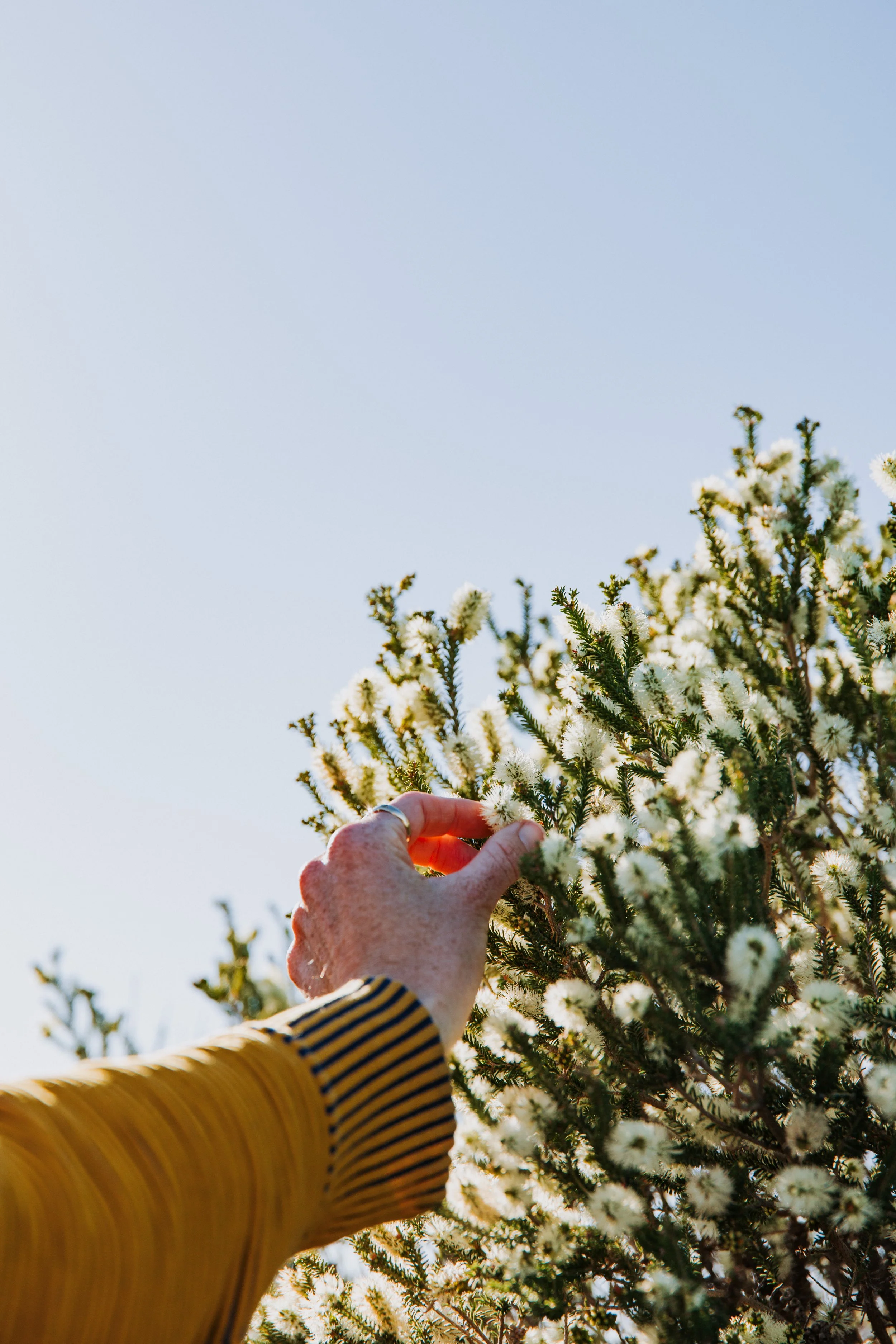 2025 byrosiehenderson Esperance-Kepa Kurl Grounded-0983.JPG