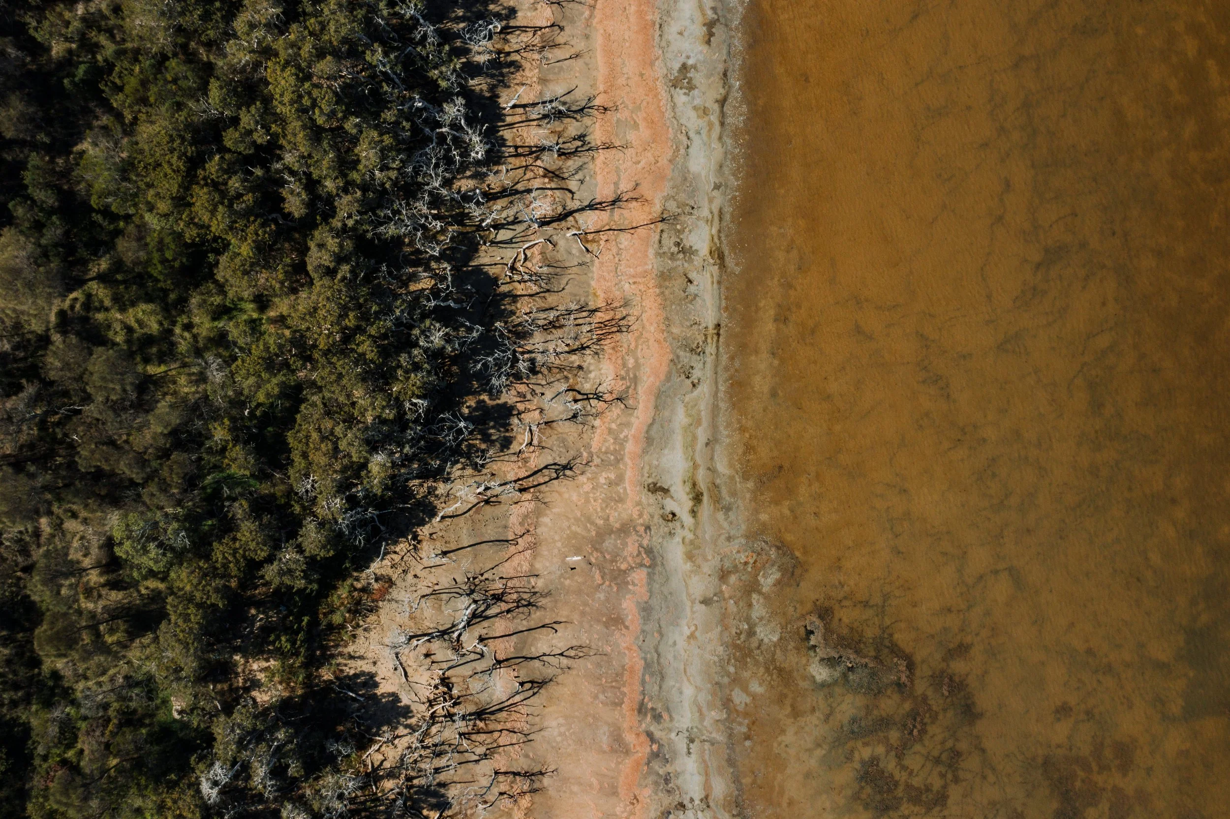 Lake Gore byrosiehenderson 42.jpg