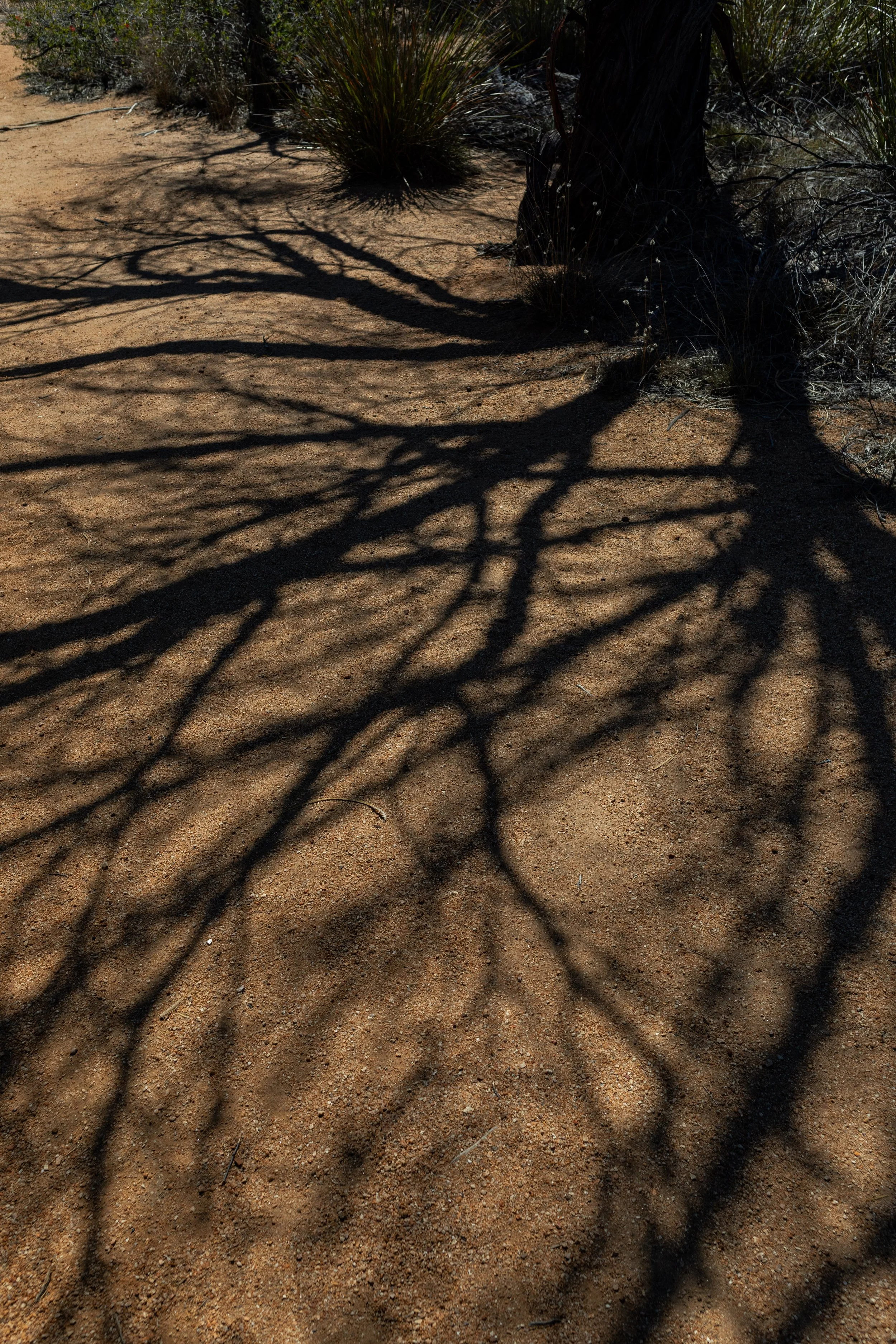 2025 Trip edits byrosiehenderson-8166.JPG