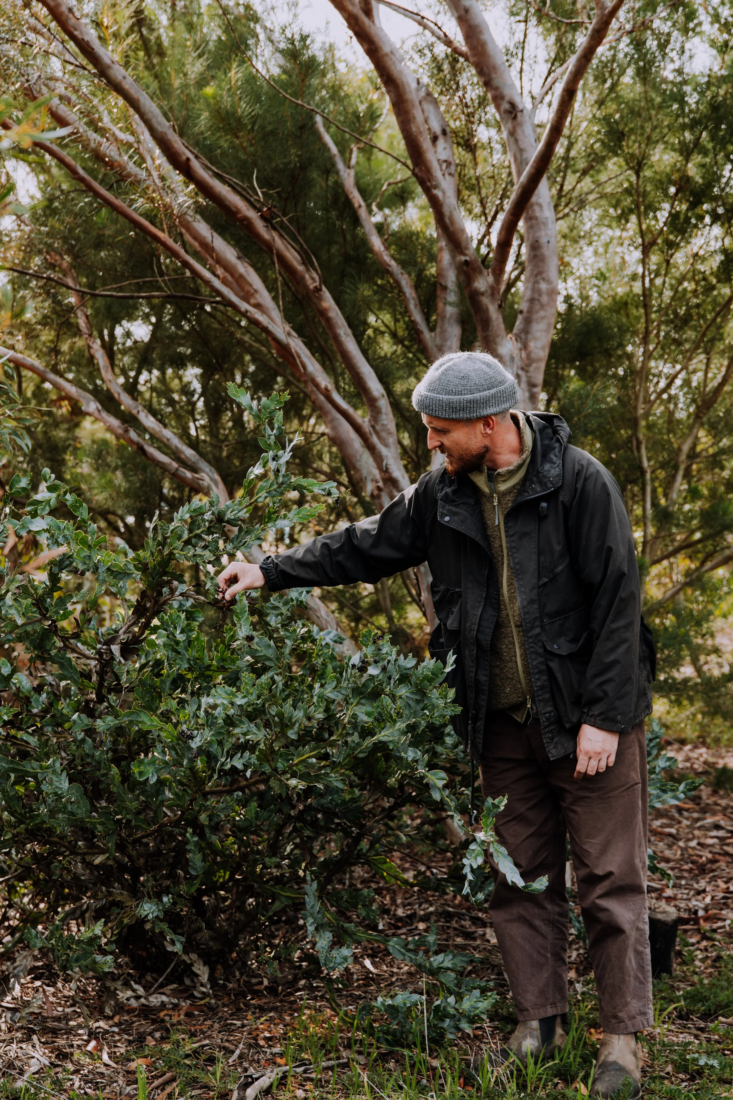 2025 Esperance Native Nursery byrosiehenderson-9302.jpg