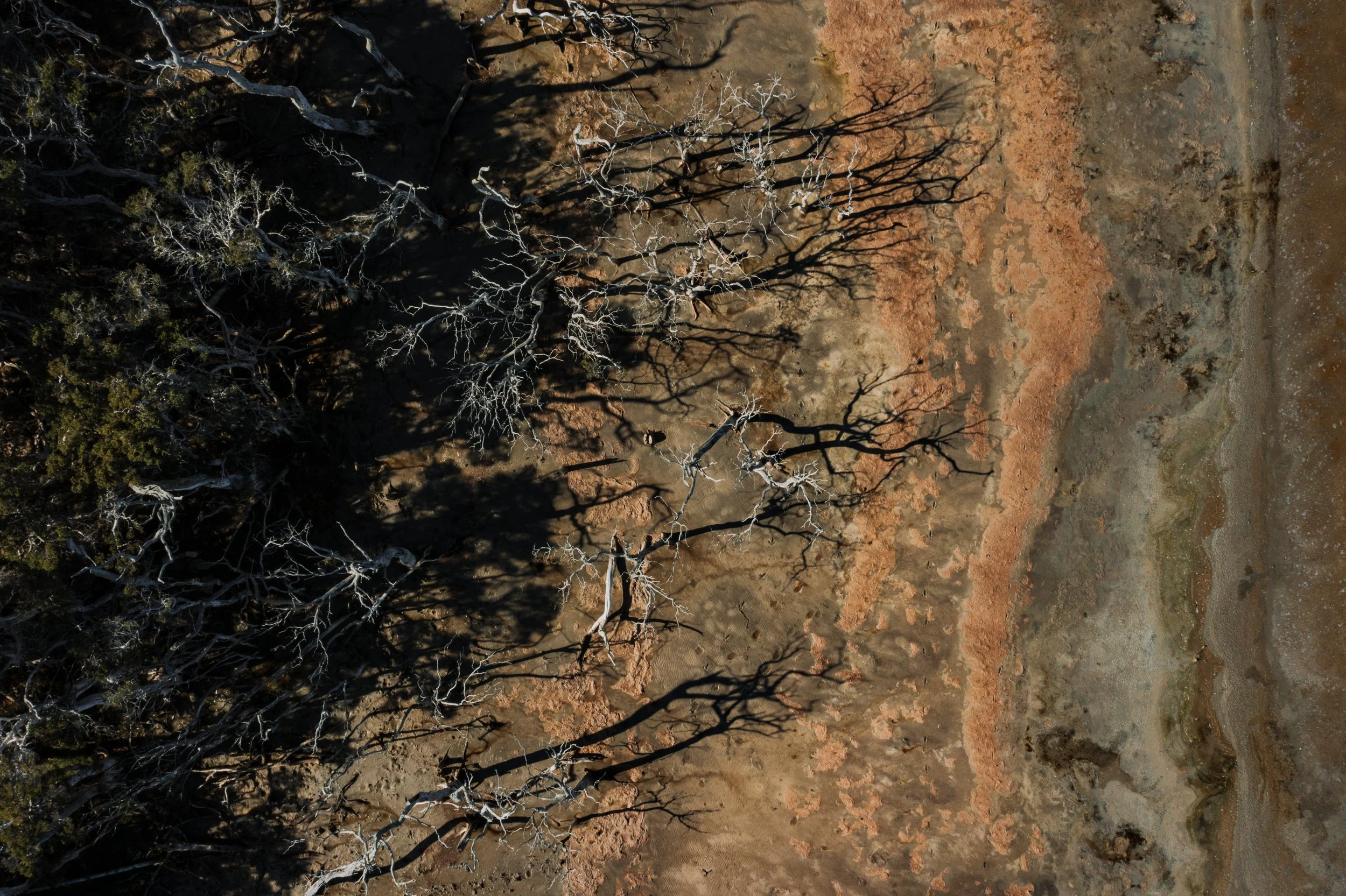 Lake Gore byrosiehenderson 48.jpg