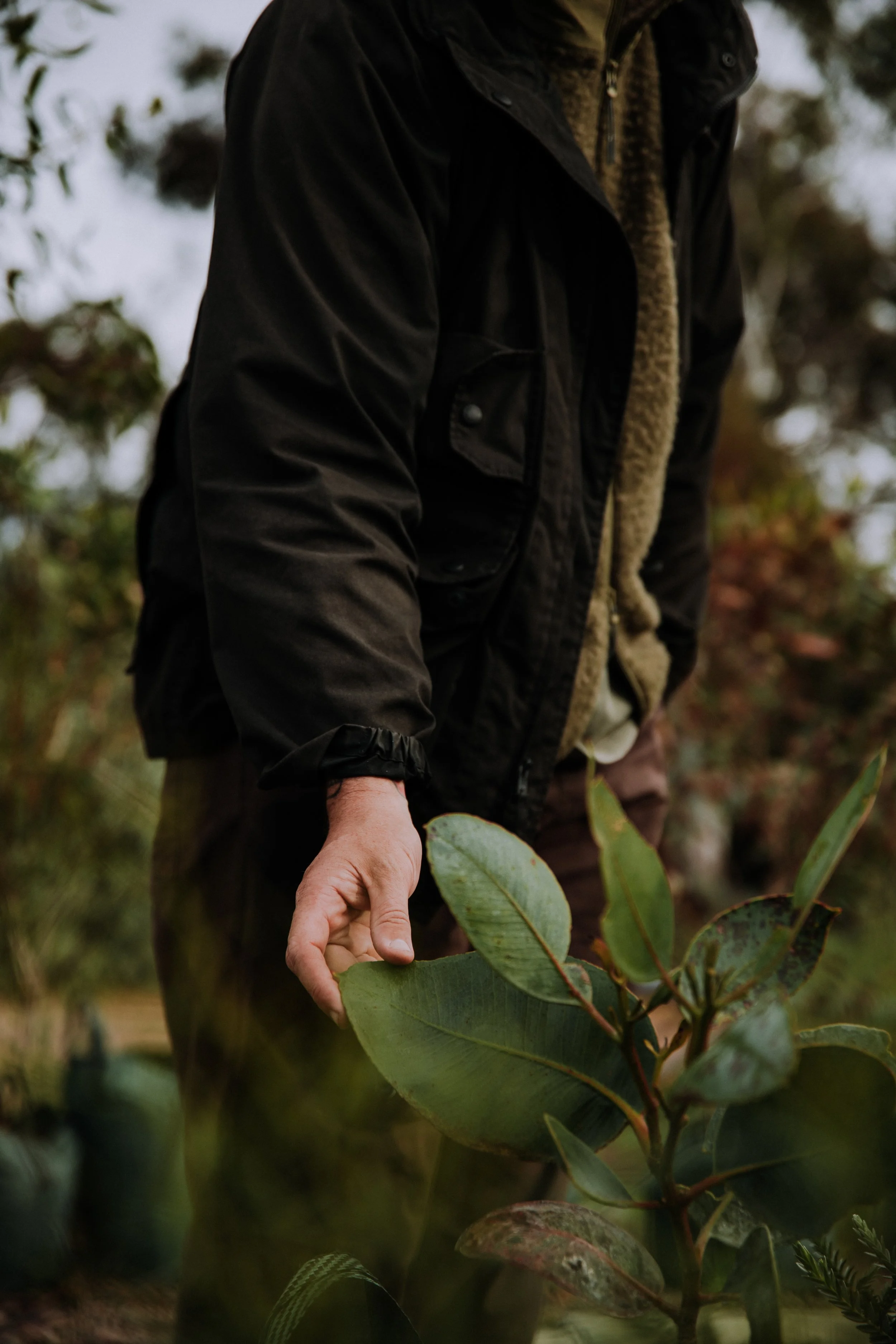 2025 Esperance Native Nursery byrosiehenderson-8668.jpg