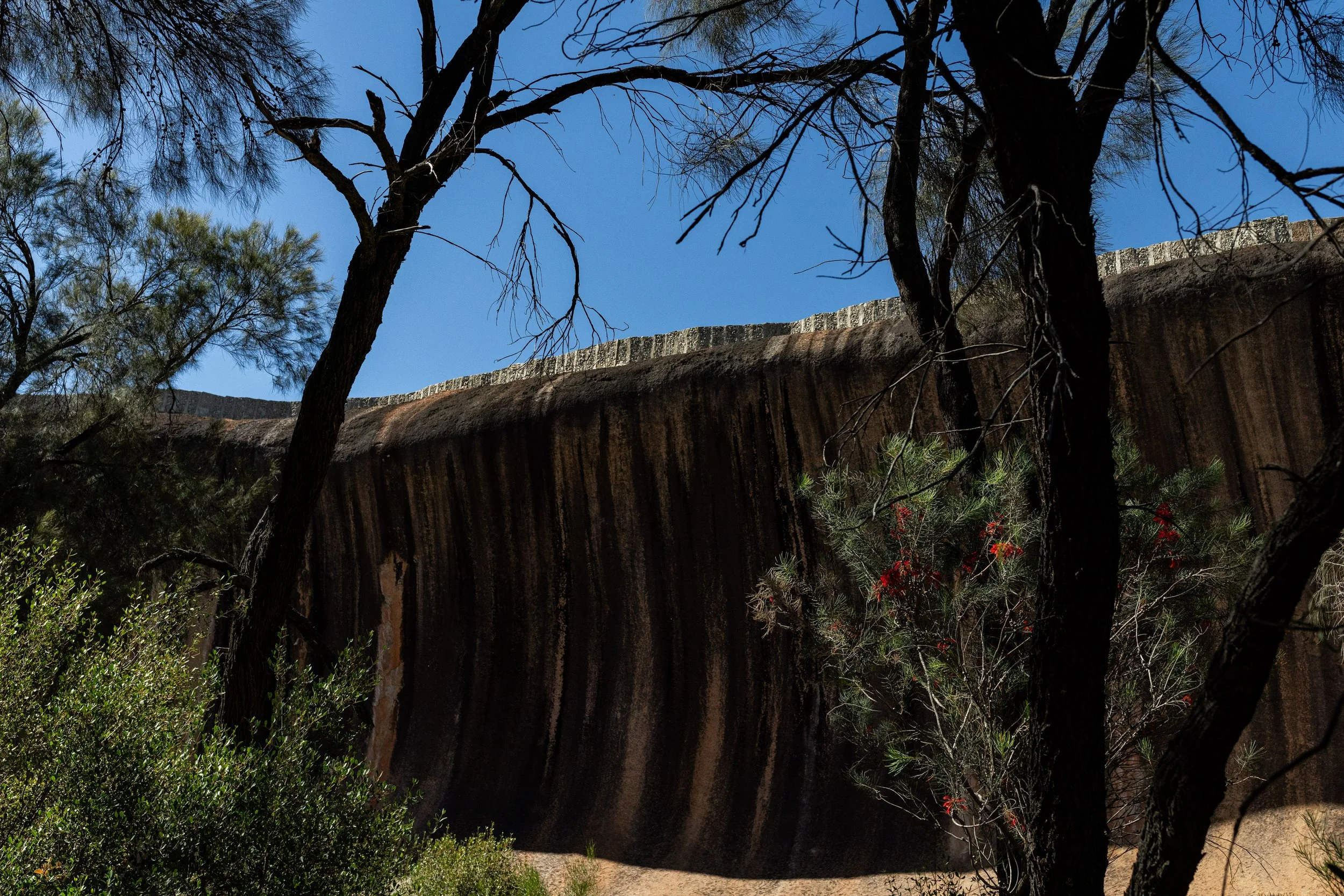 2025 Trip edits byrosiehenderson-8056.JPG