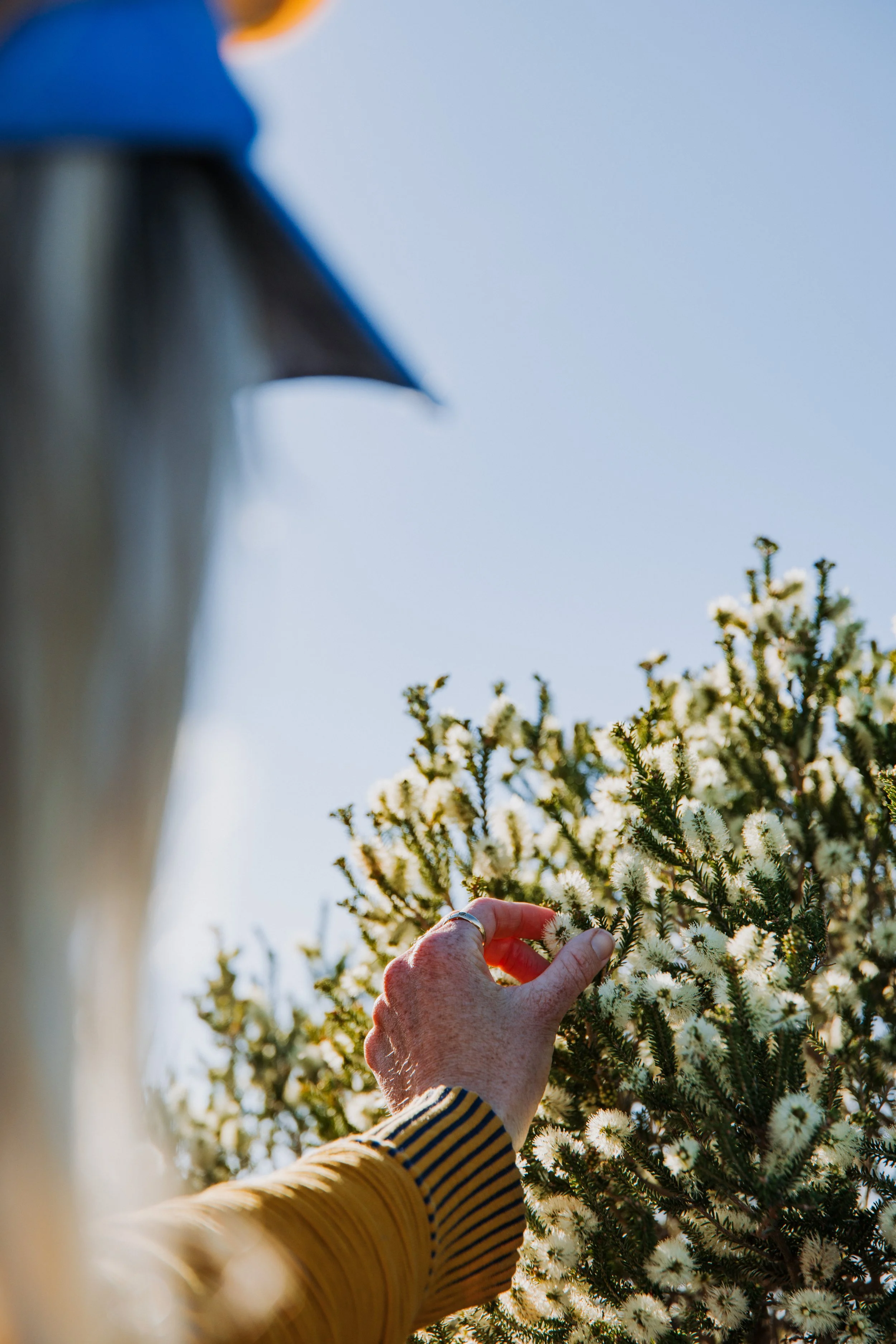 2025 byrosiehenderson Esperance-Kepa Kurl Grounded-0986.JPG