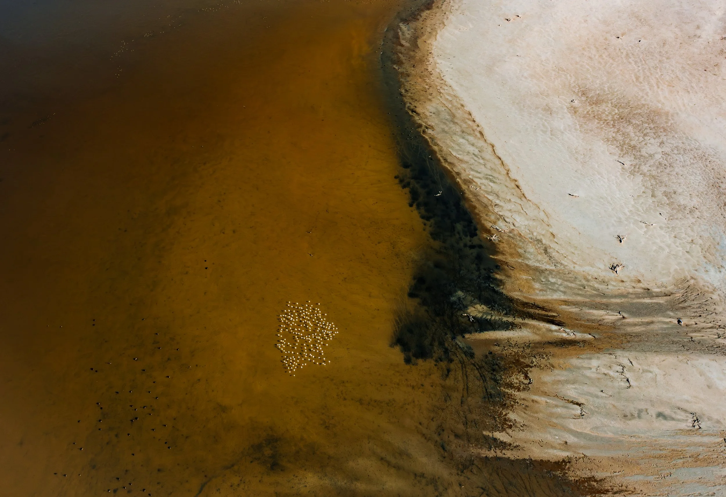 DJI_0425-Enhanced-NR-2.jpg