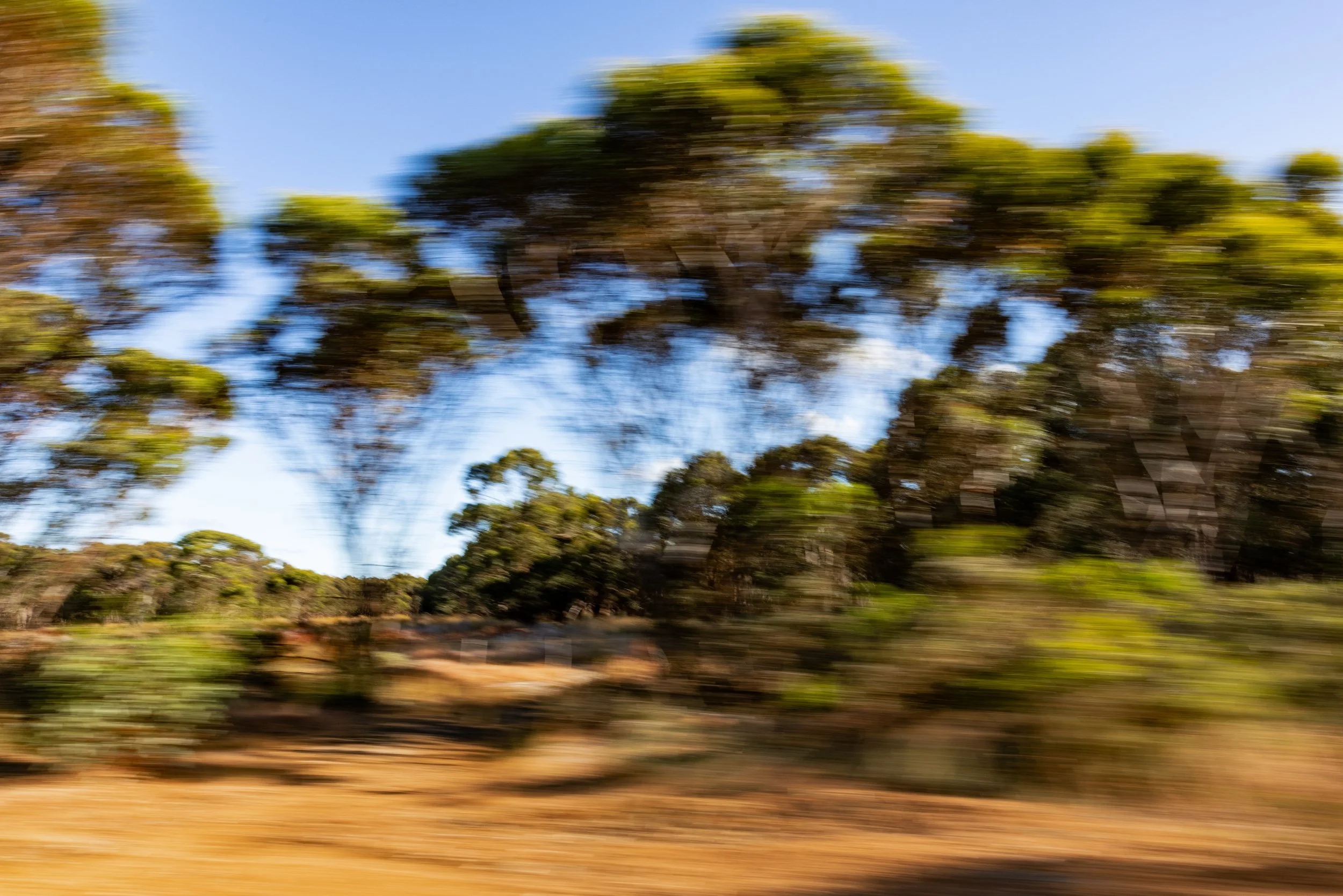 Documentary Storytelling