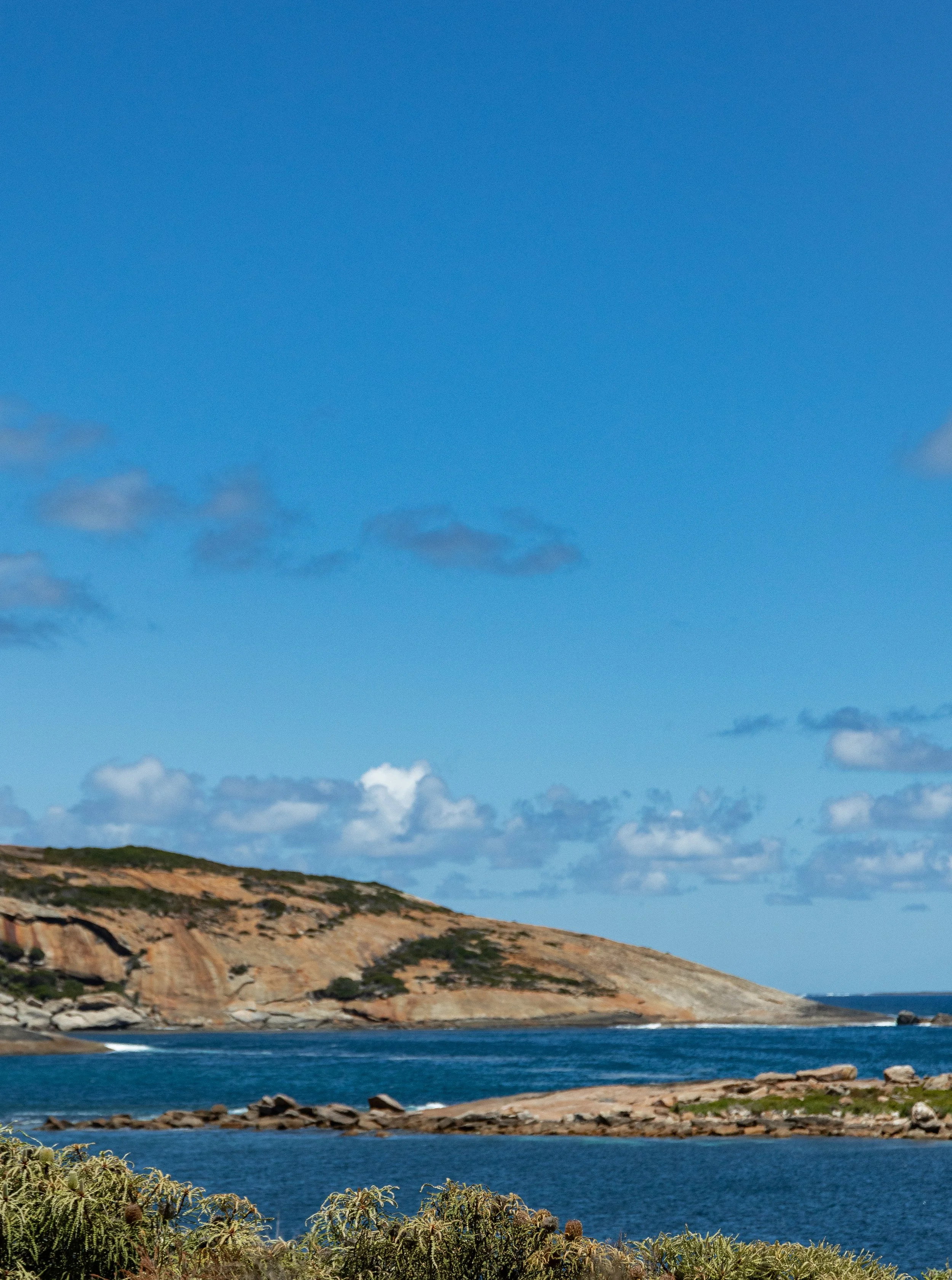 2026 E byrosiehenderson-1875.JPG