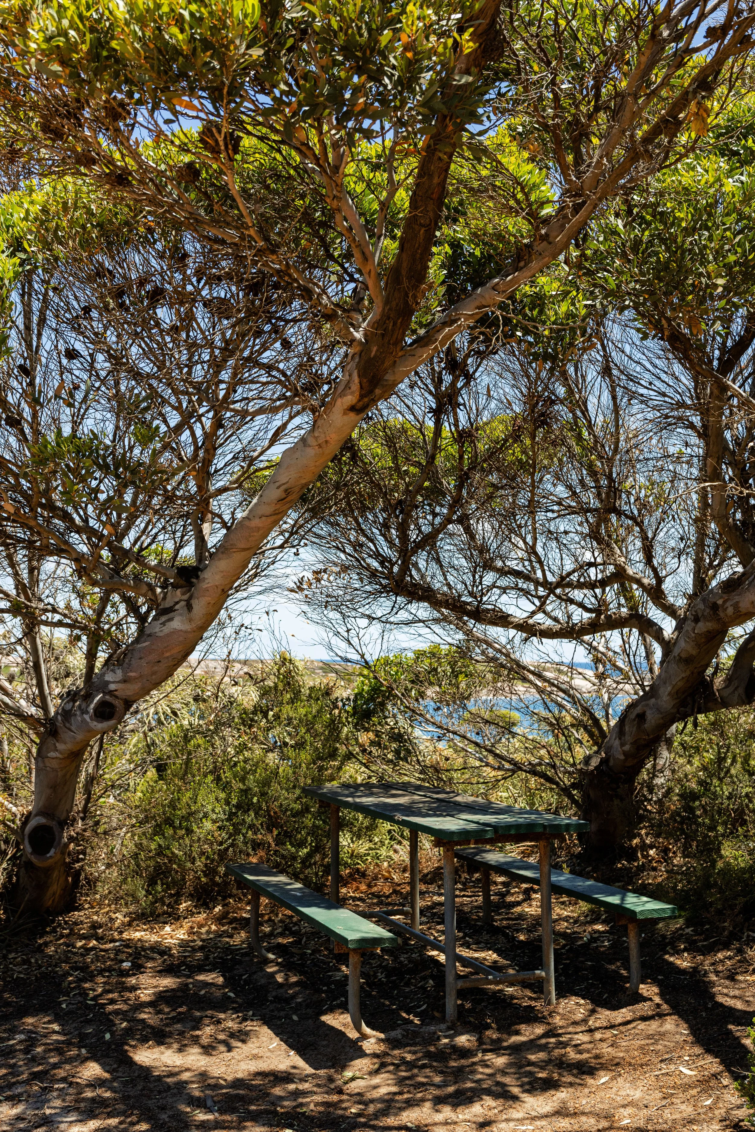 2026 E byrosiehenderson-1868.JPG