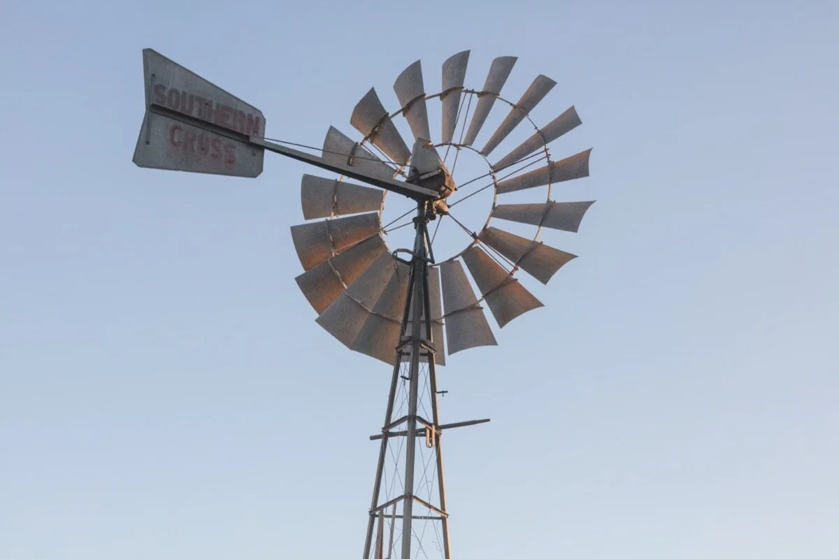 The Cotton Fields 5.JPG