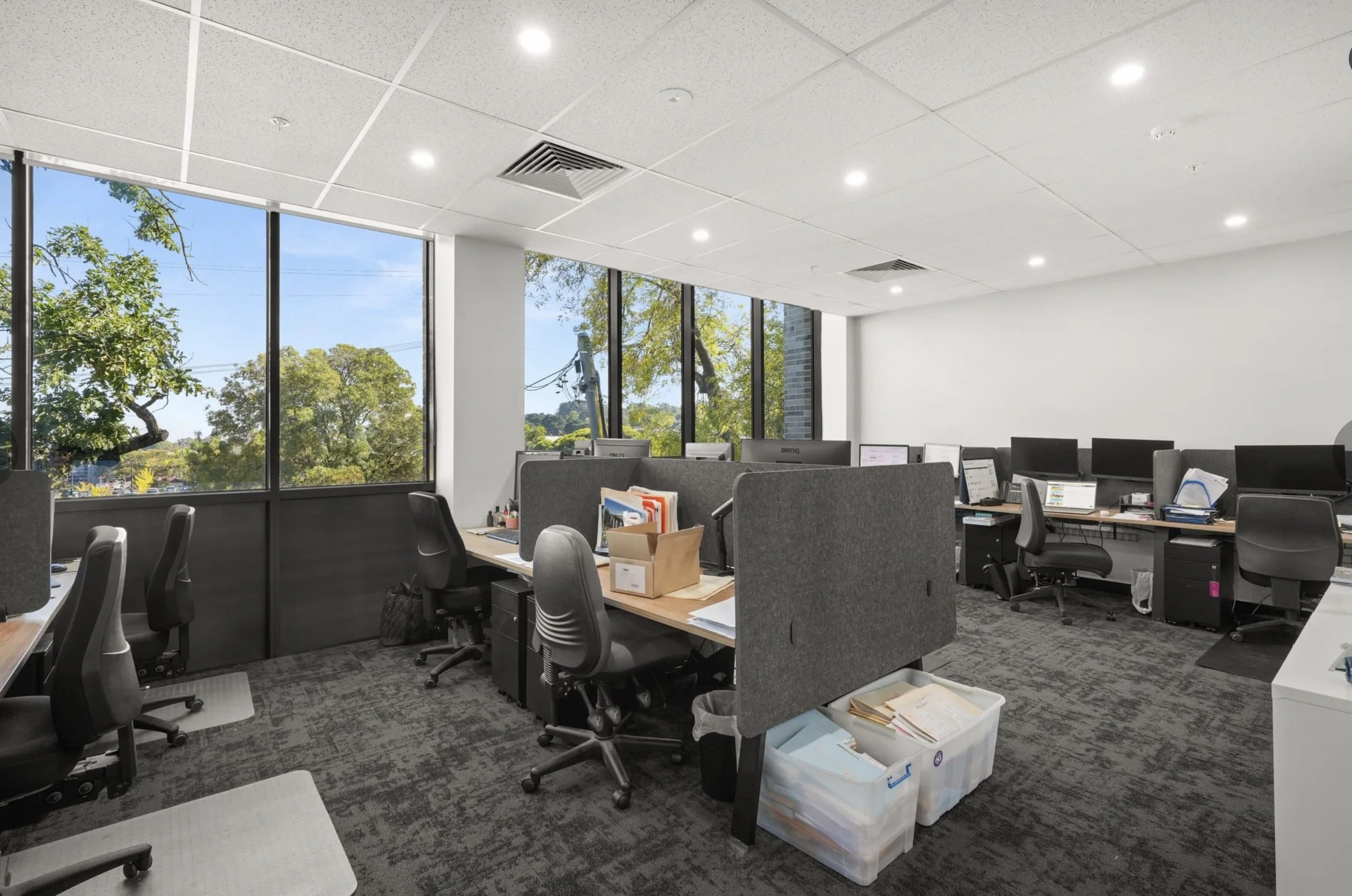 Screenshot 2026-04-29 at 8.23.05 am.jpg