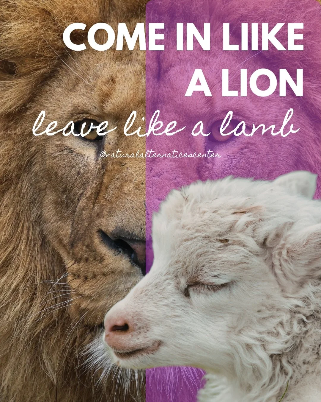 Come in like a 🦁 and I will help you leave like a 🐑 

It&rsquo;s my lot in life to help you let go of the stress and tension of life - so let me do my job!

Let go of stress
Let go of tension
Let go of tight muscles
Let go of that gnawing feeling i