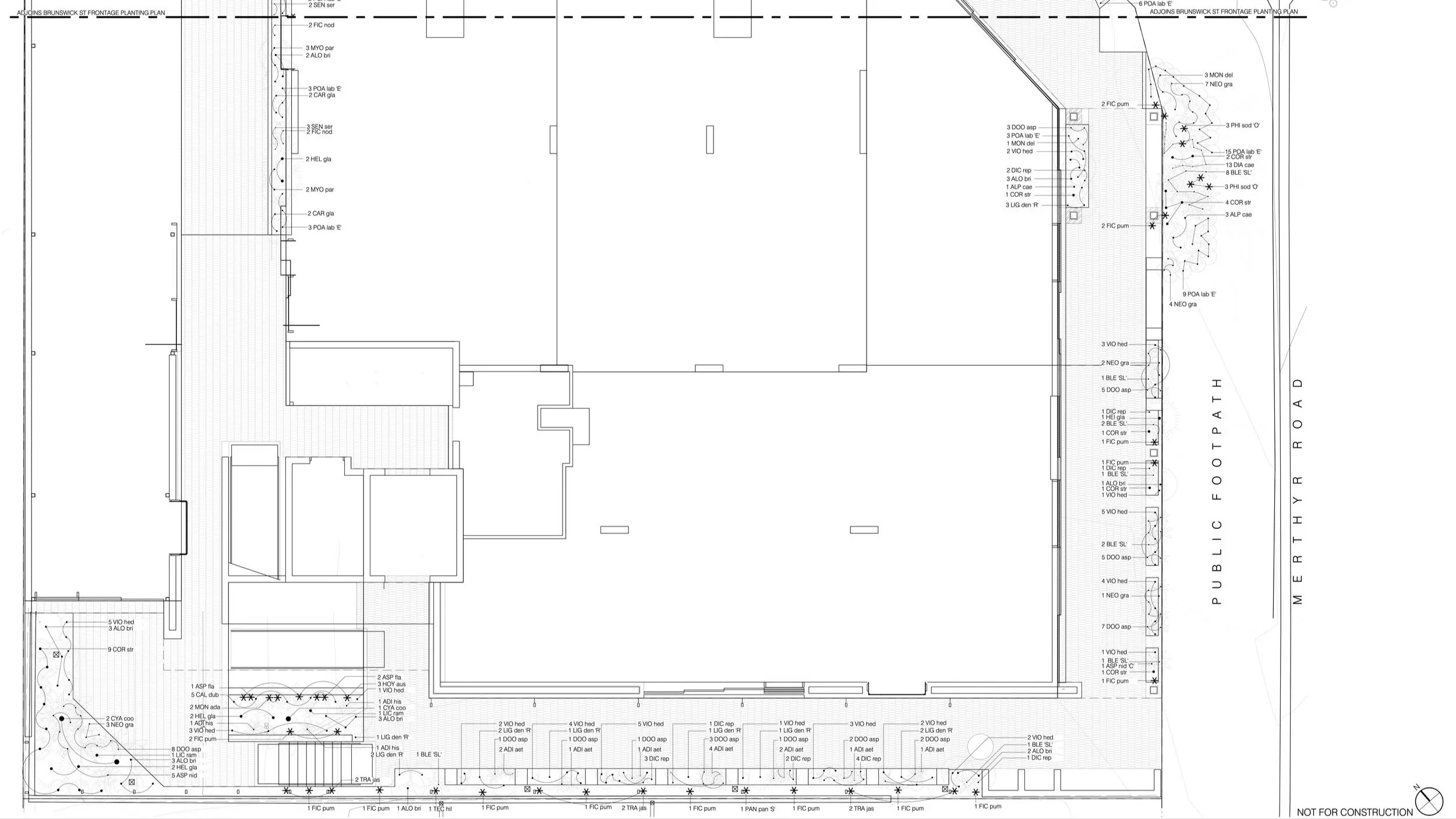 84+Merthyr+Rd_L1.20+GROUND+FLOOR+PLANTING+PLAN_250506.jpg