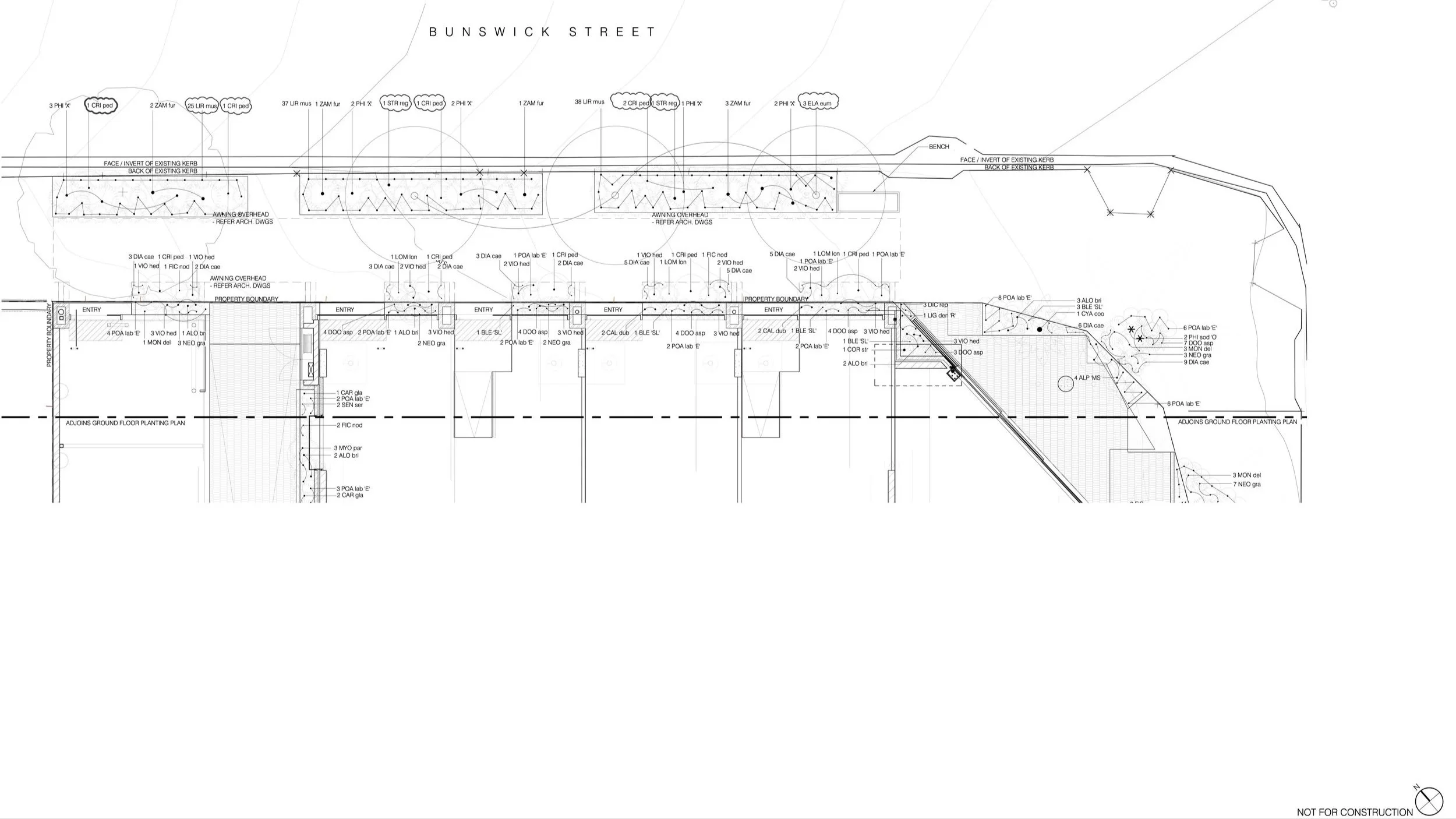 84+Merthyr+Rd_L1.21+BRUNSWICK+ST+FRONTAGE_250506.jpg