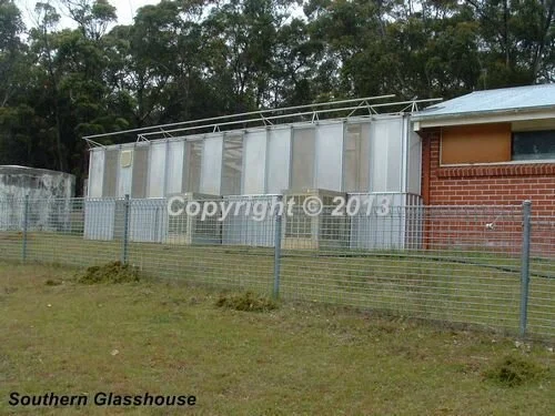 Southern GH.jpg