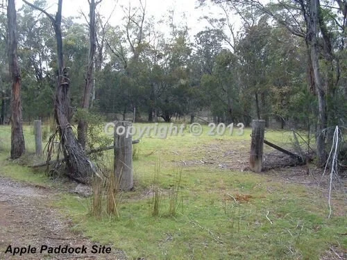 Apple Paddock.jpg