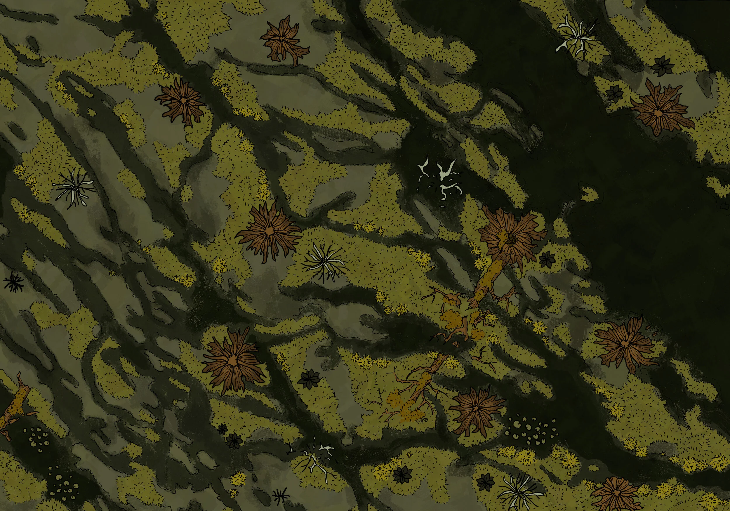 Map 30 - A Marsh in the Jungle