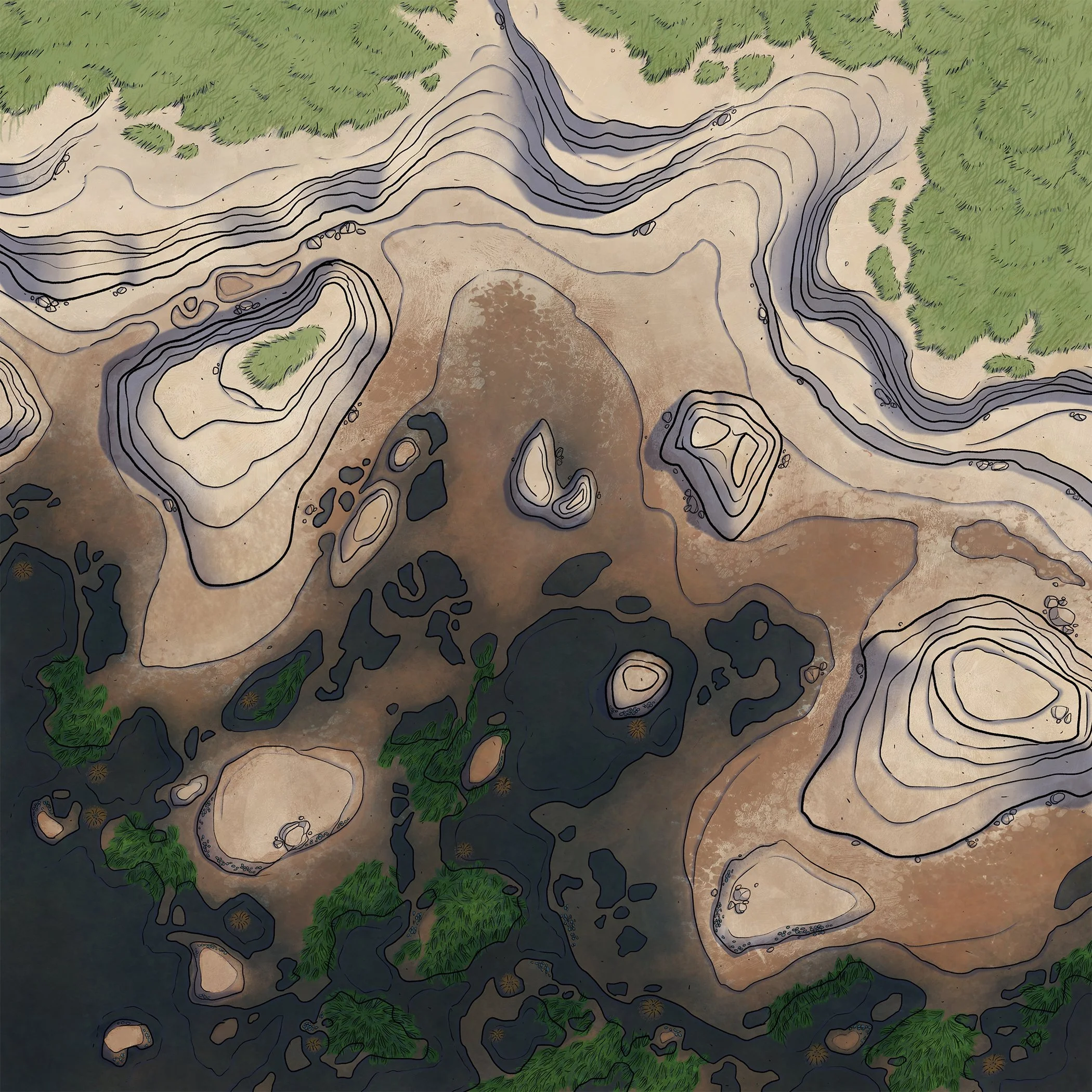 Map 242 - Low-tide Shore