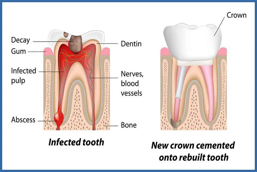 Anaheim Professional Dental Care General Dentist in Anaheim