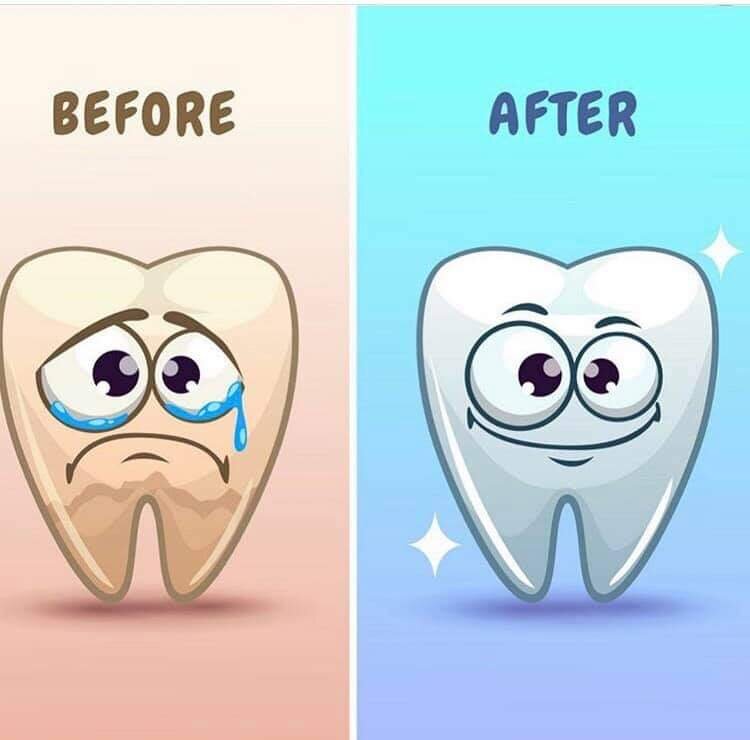 Anaheim Professional Dental Care General Dentist in Anaheim