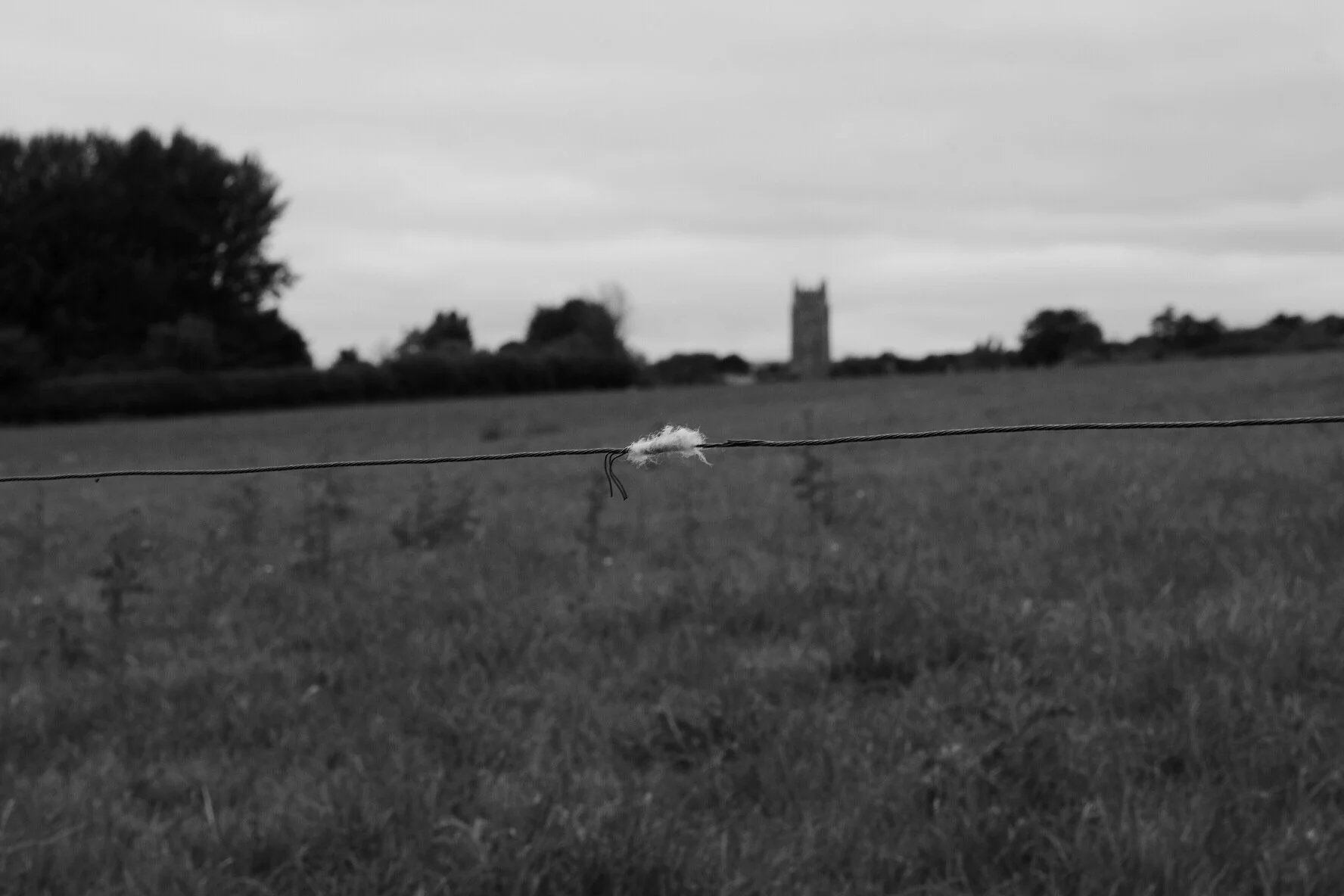 Bishops Lydeard - Devon