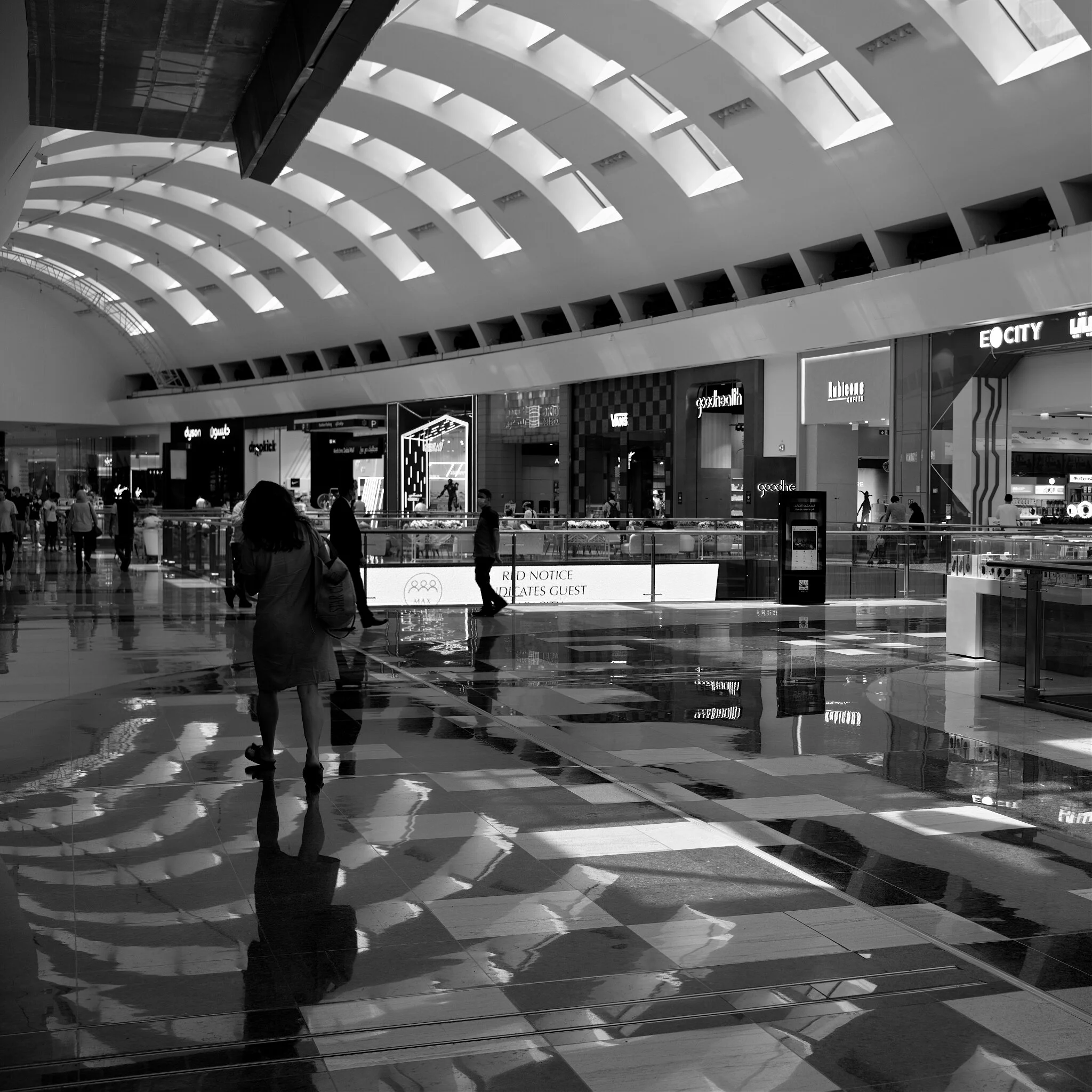 2419Shadows and reflections10010031001003.JPEG
