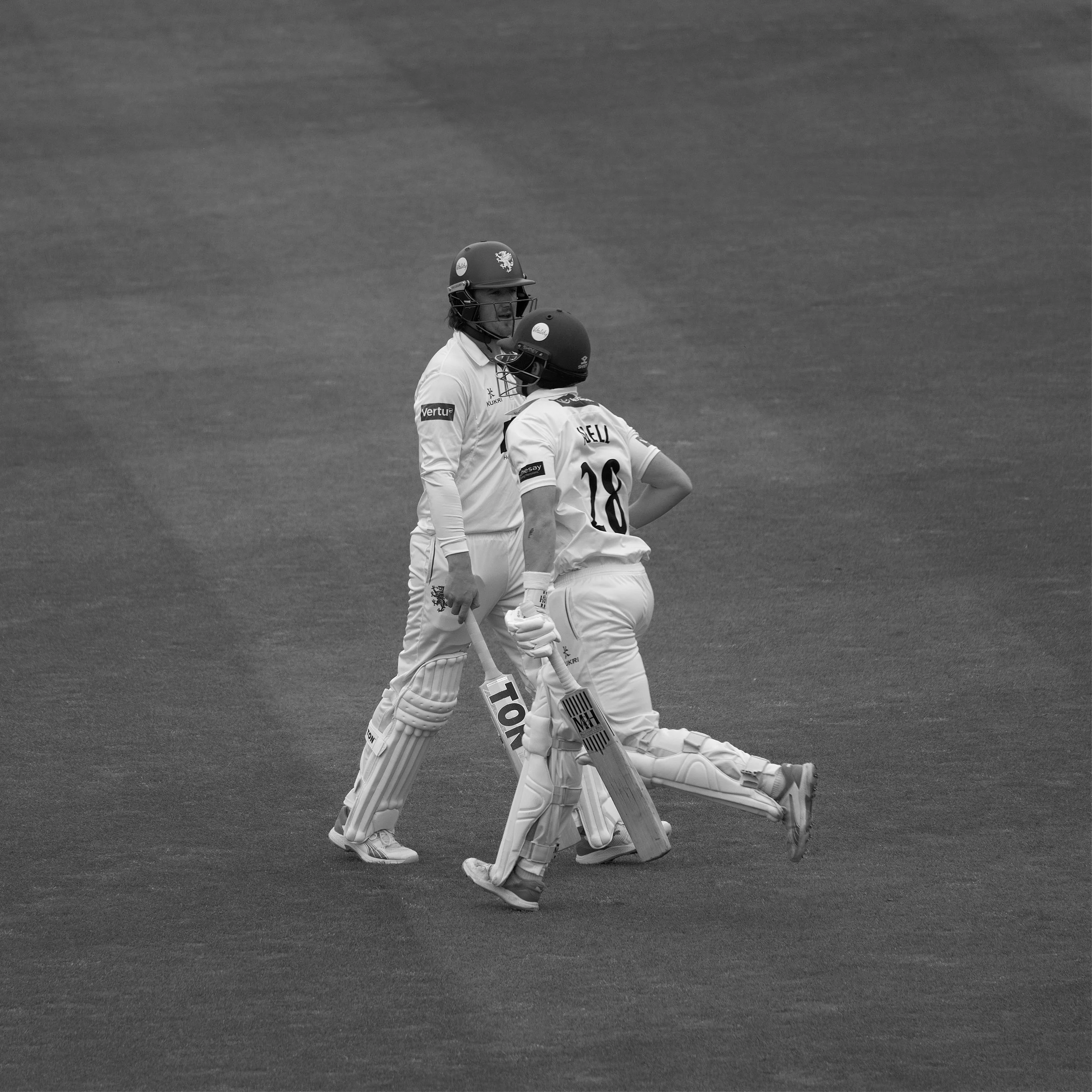 In and Out - Somerset Vs Nottingham - June 2025.jpg