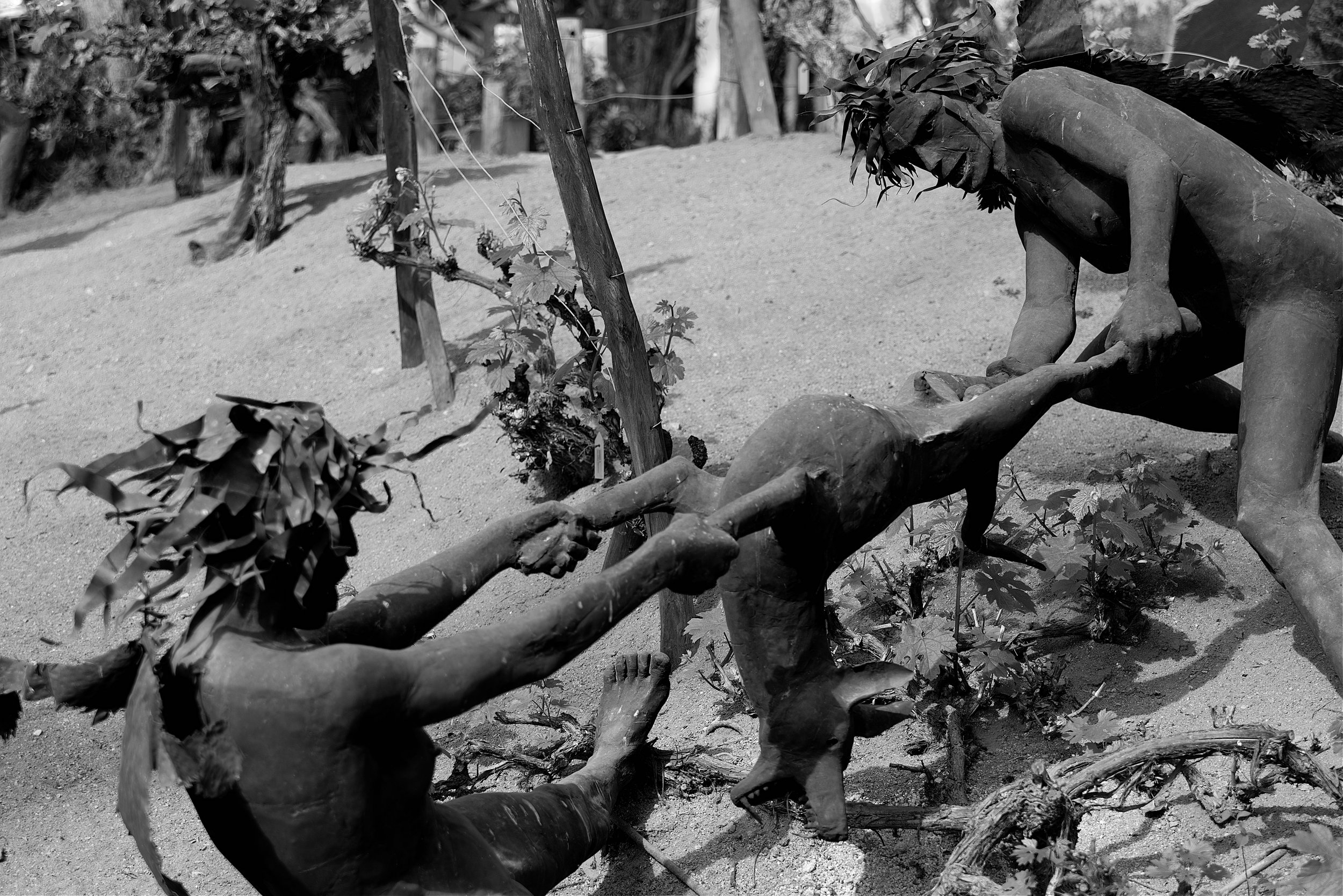 WaSculpture 1 -  Eden Project 2 - March 2026.jpg